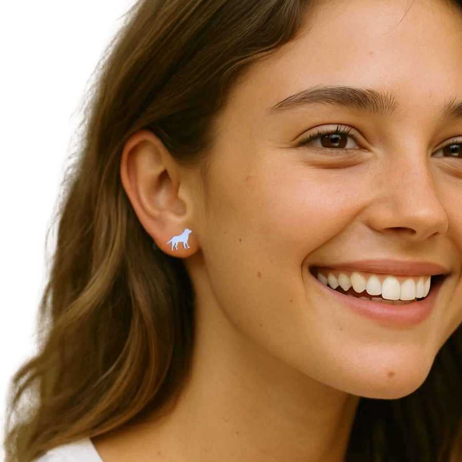 Trio de Brincos Pequeno Aço Três Cores + Embalagem Presente