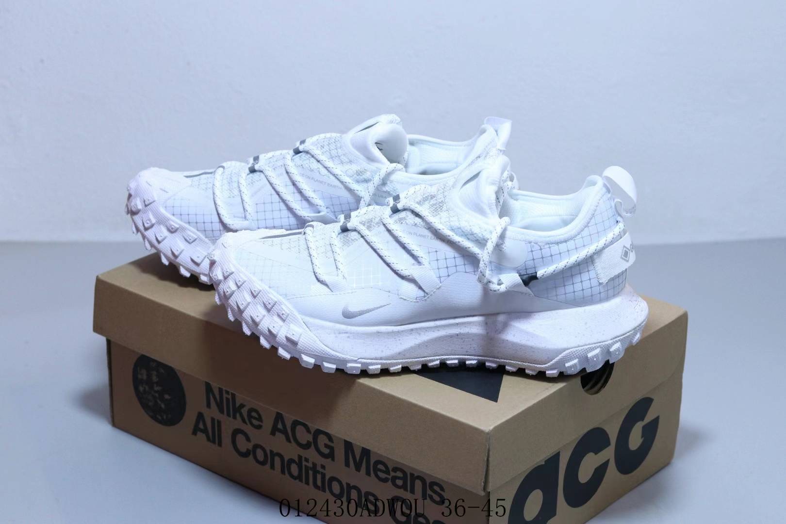 Nike ACG Mountain Fly GTX SE White 