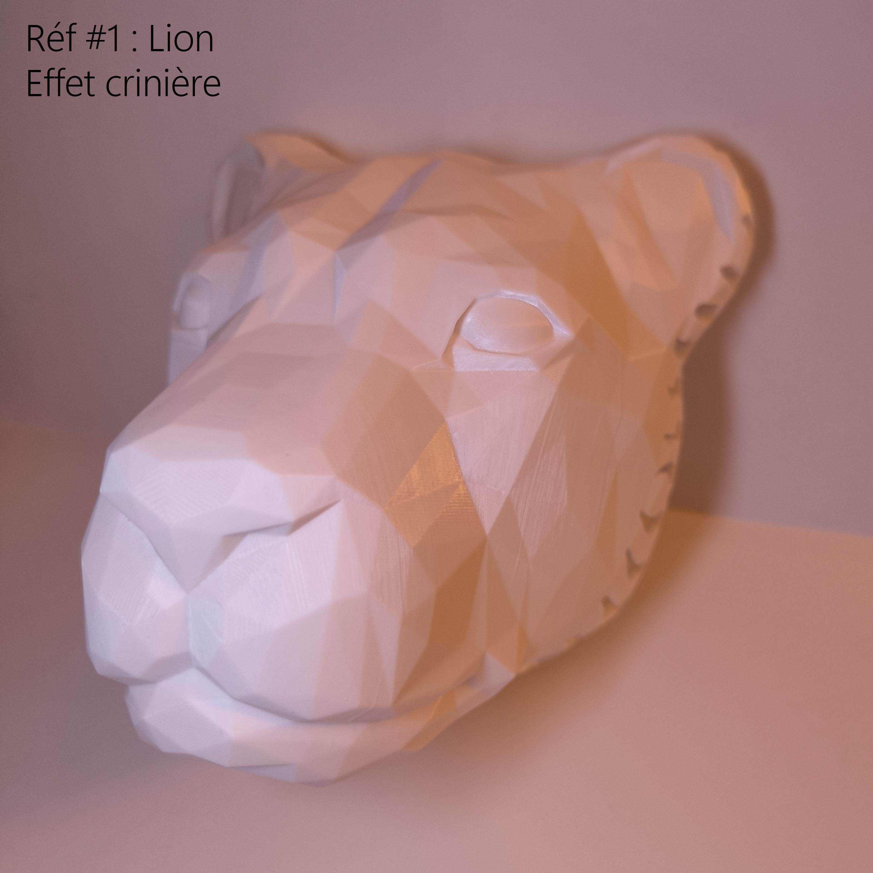 Lampe Mural 3D sur mesure