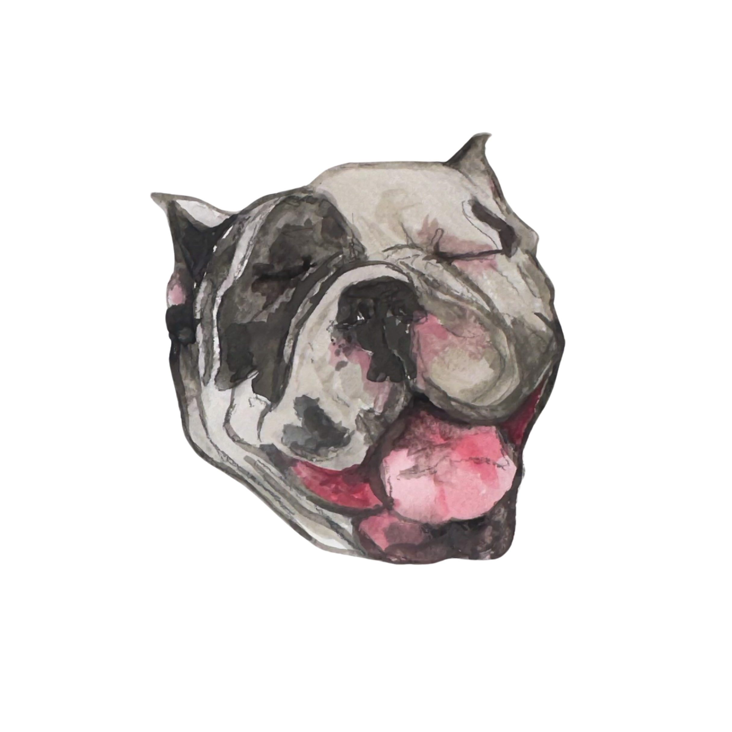 Custom Pet Portrait (5 x 8)