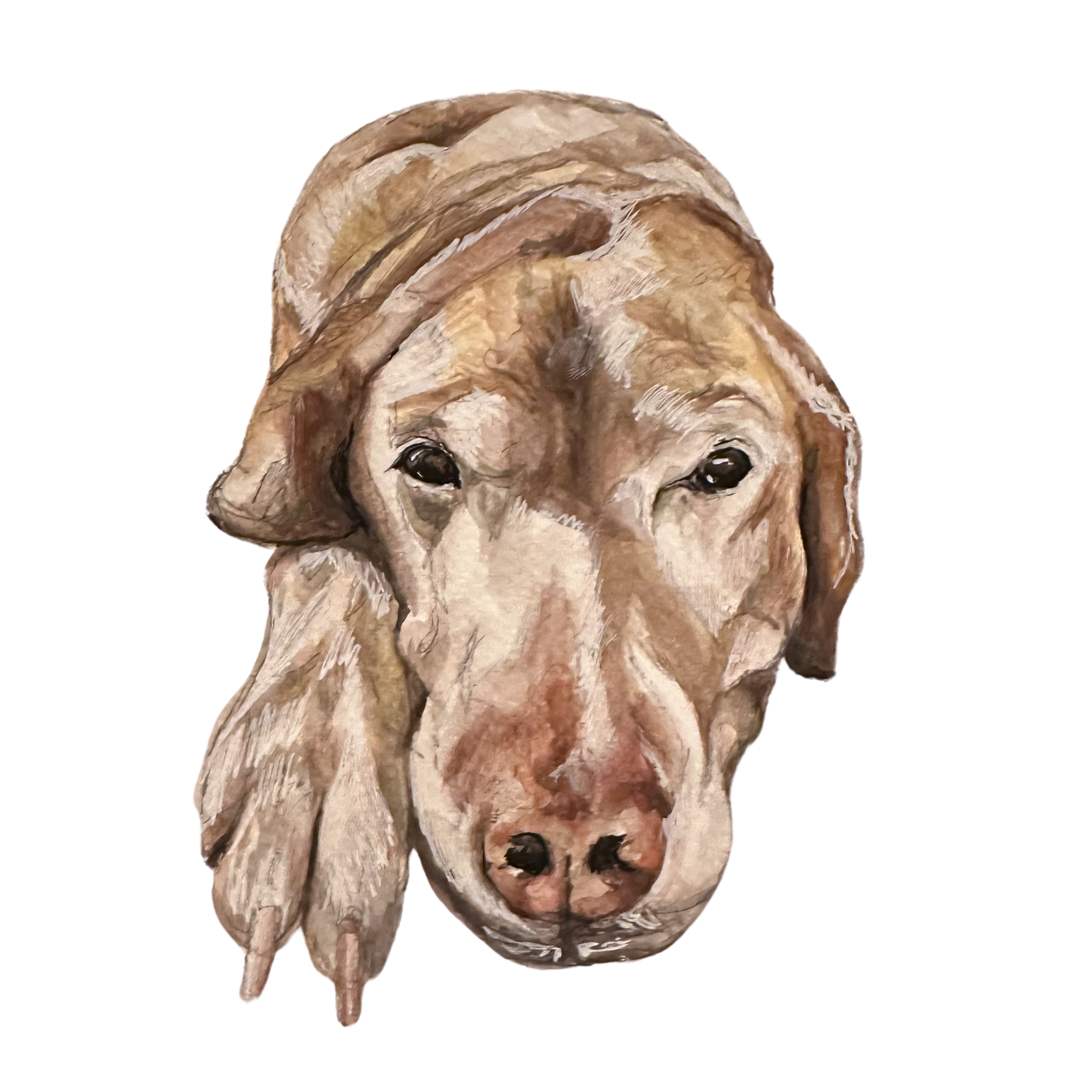 Custom Pet Portrait (8 x 10)