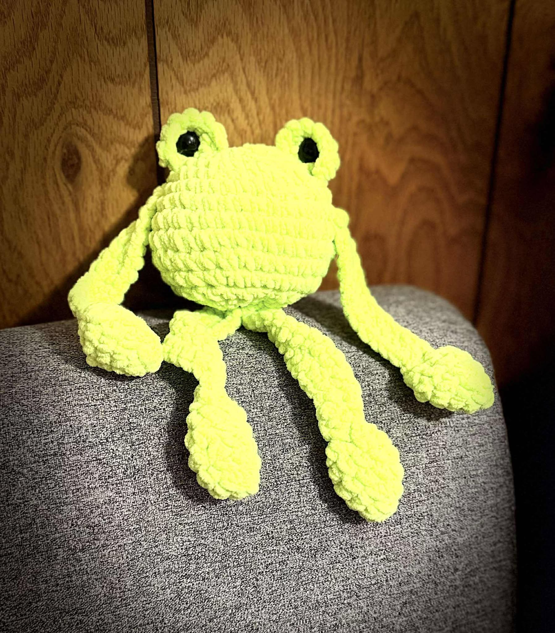 floppy froggy