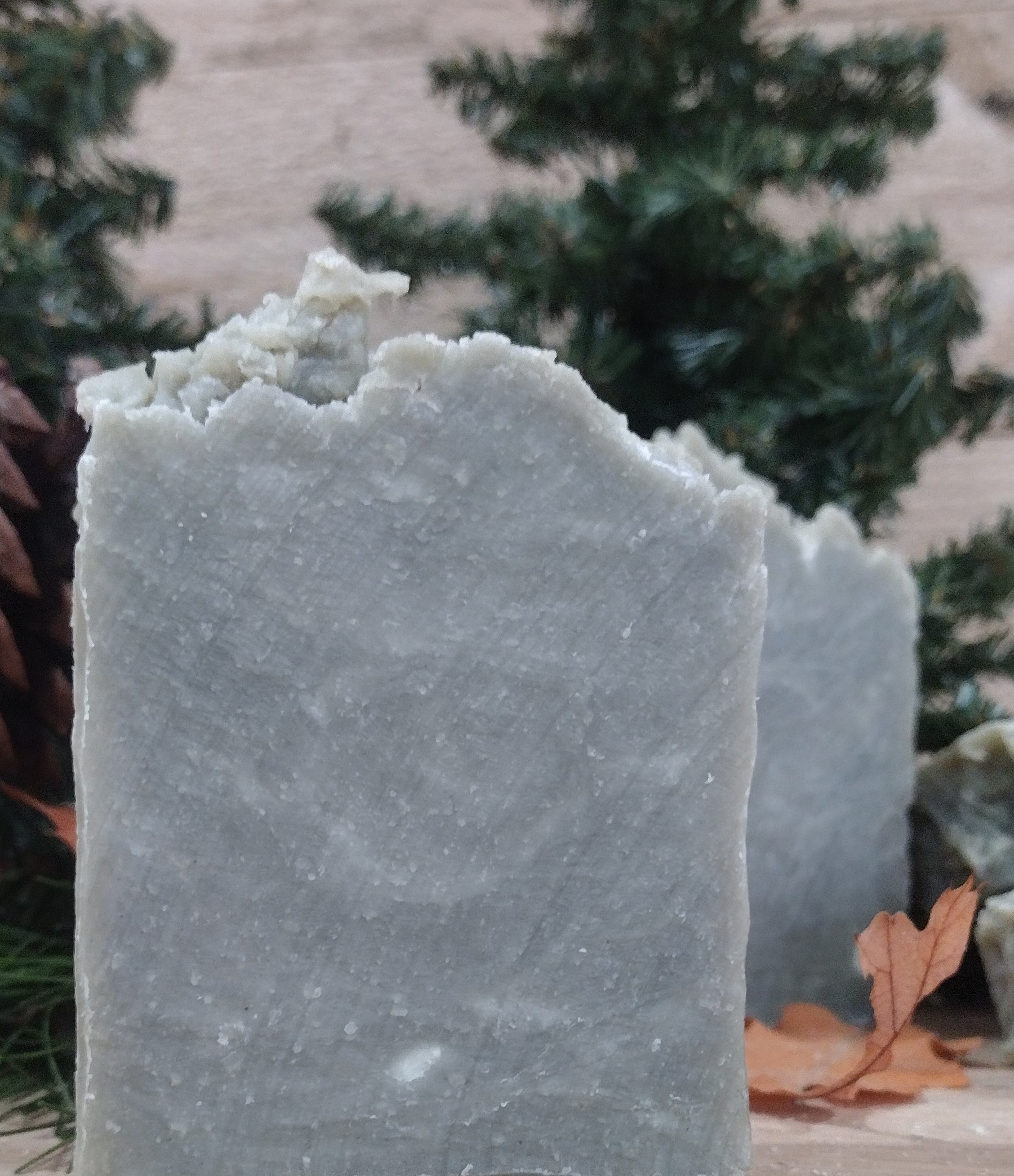 Shady Wood Tallow Soap