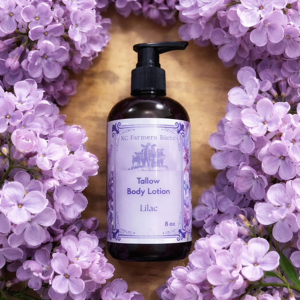 Lilac Tallow Body Lotion