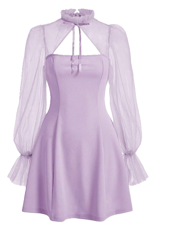 Vintage Style A-Line Party Dress with Sheer Long Sleeves High Neck with Bow
