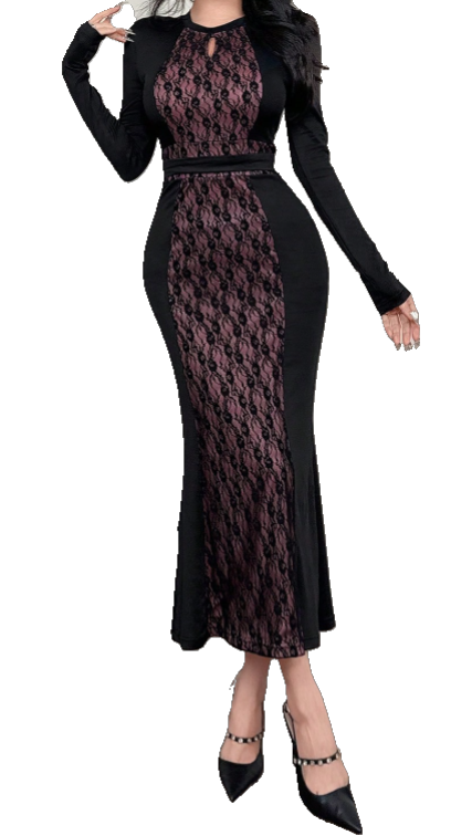 Elegant Long Sleeve Evening Dress