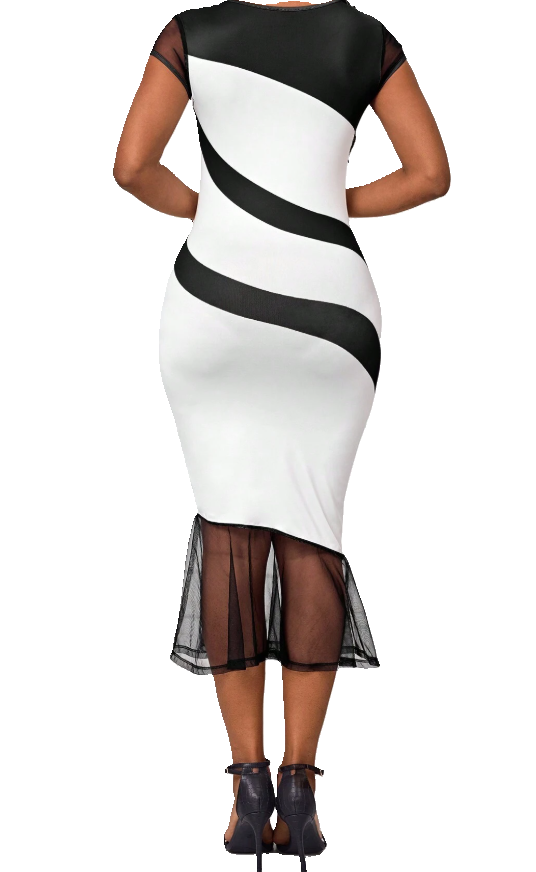 Elegant Black and White Thin Fabric Dress