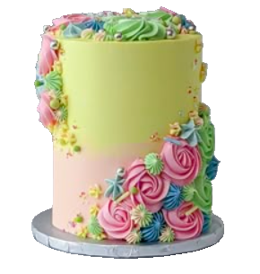 Triple Layer Cake 11