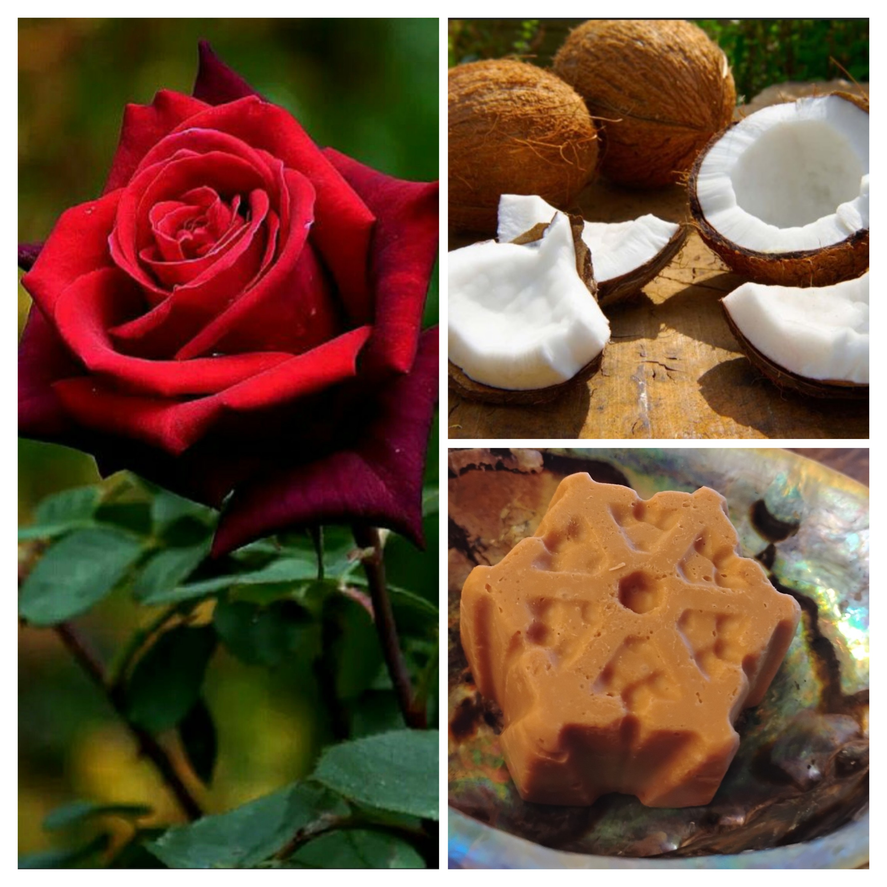 Rose Coconut Milk Organic Soap 