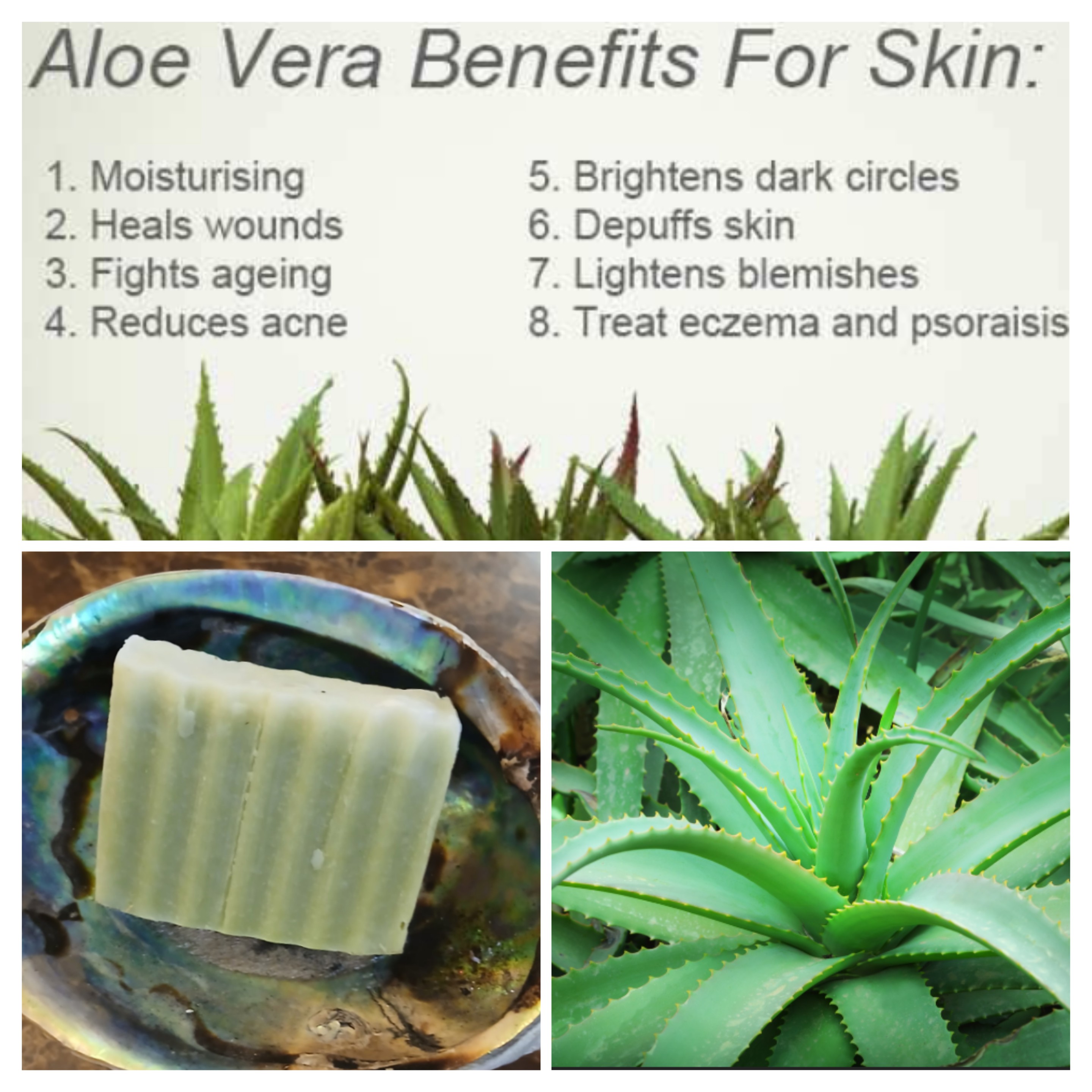 Organic Real Aloe Soap