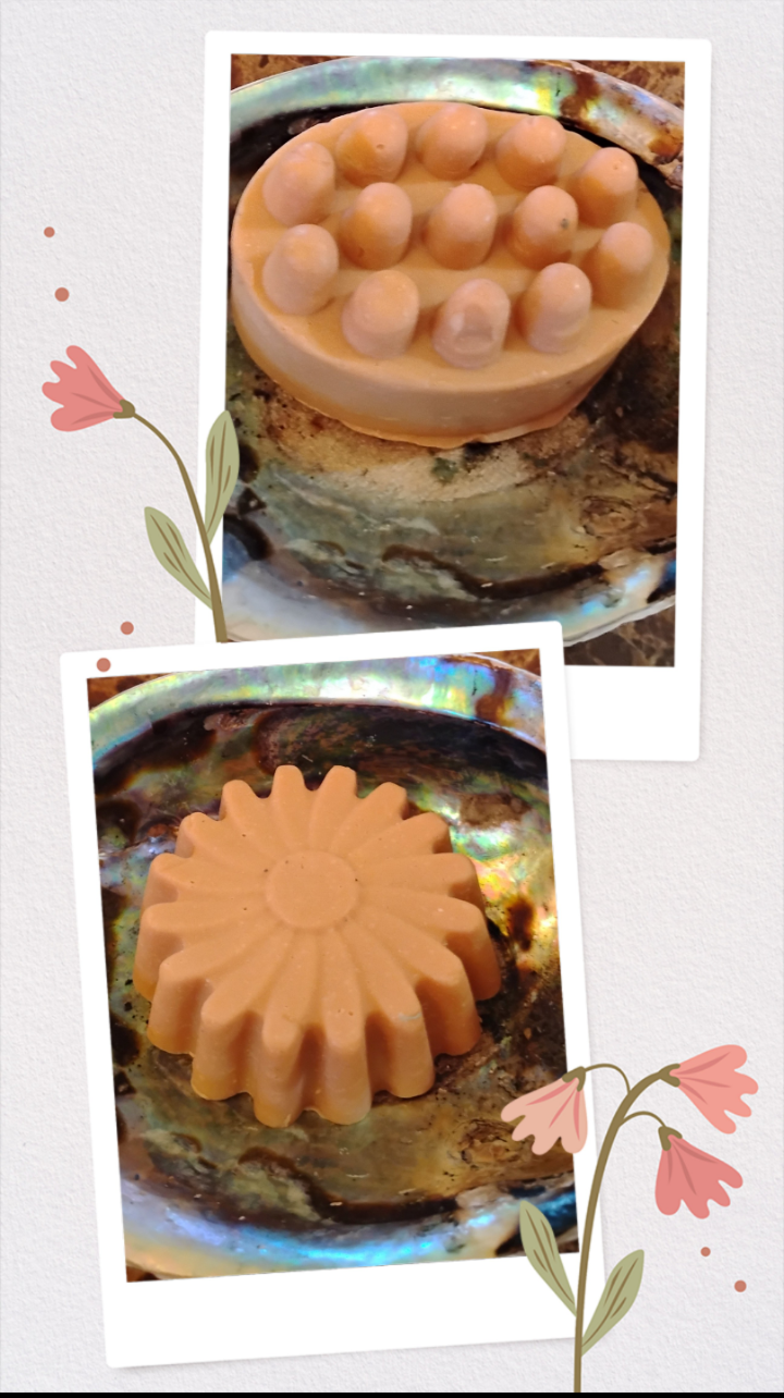  Rose Coconut Milk Organic Shampoo Bars 