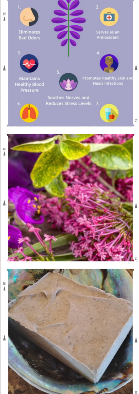  Butterfly Sage Colloidial Silver Organic Soap