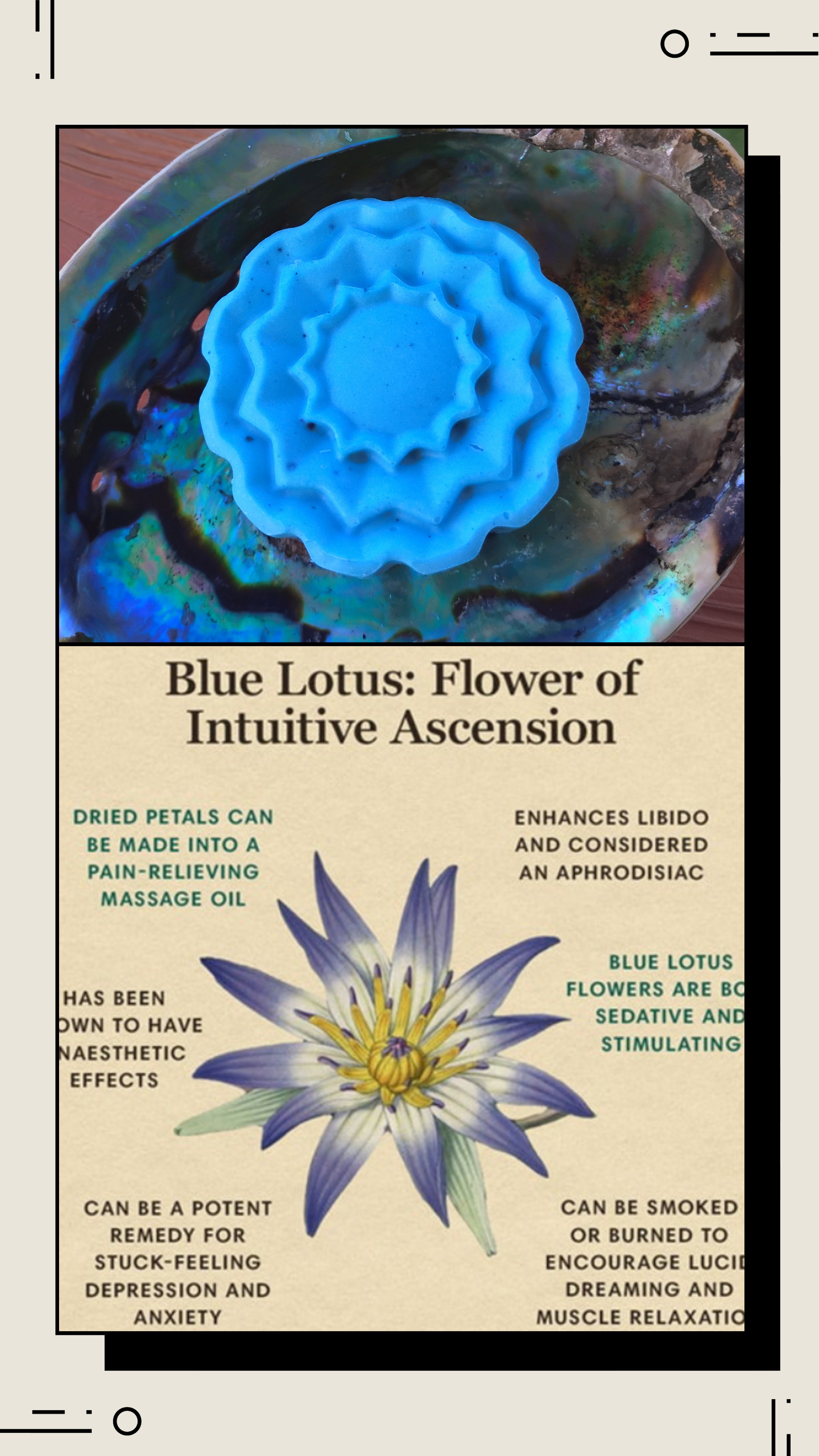 Organic Blue Lotus Soap 