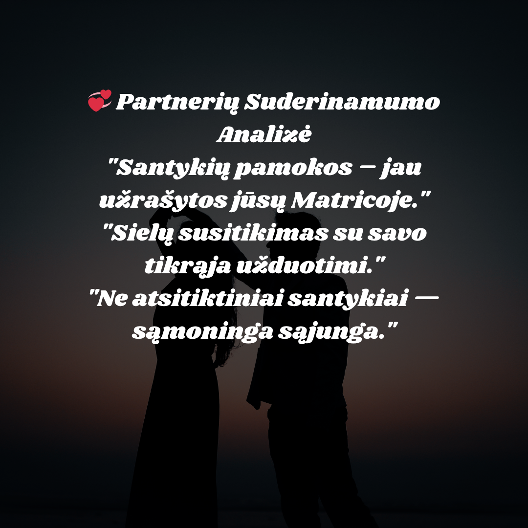 Partnerių suderinamumo analizė