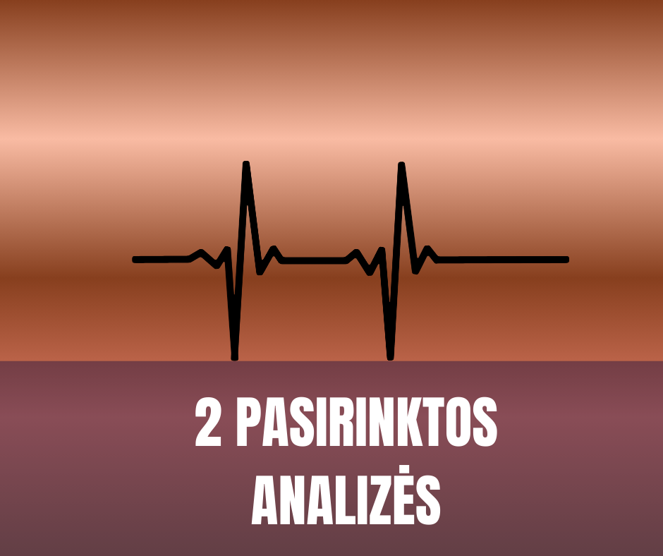 2 ANALIZĖS (Paketas) — Transformacinė Programa