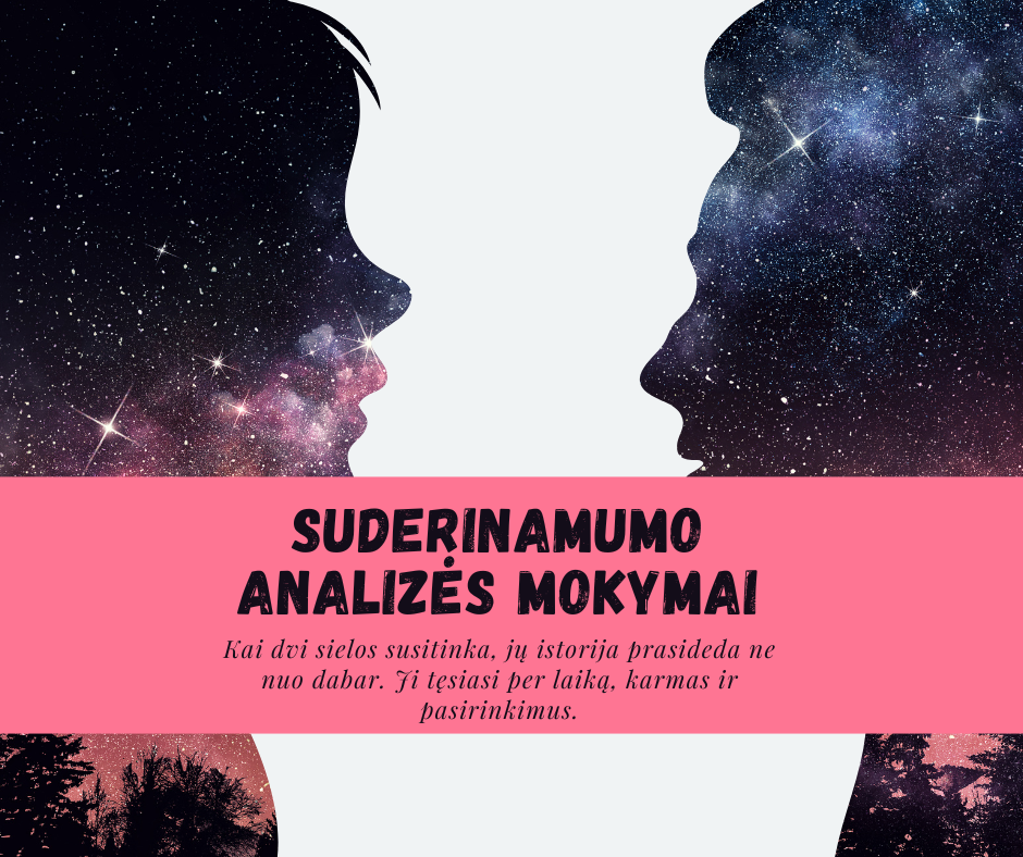 Suderinamumo analizės mokymai