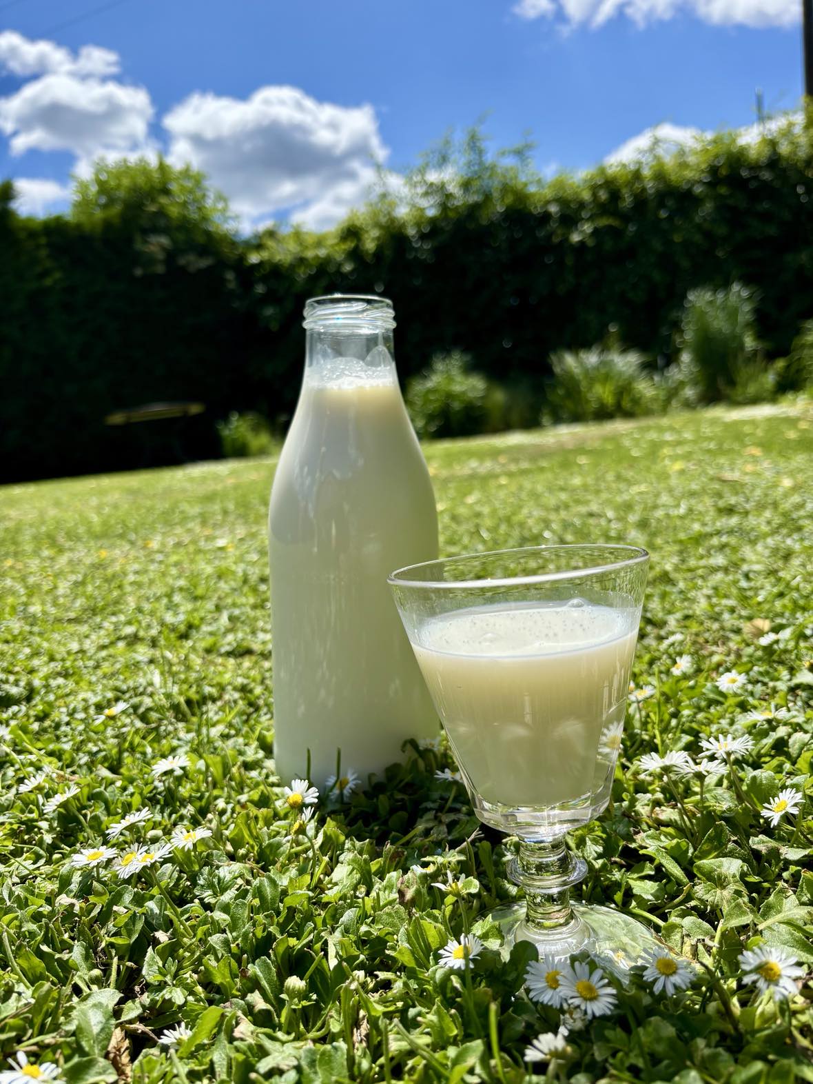 Lait entier Pasteurisé