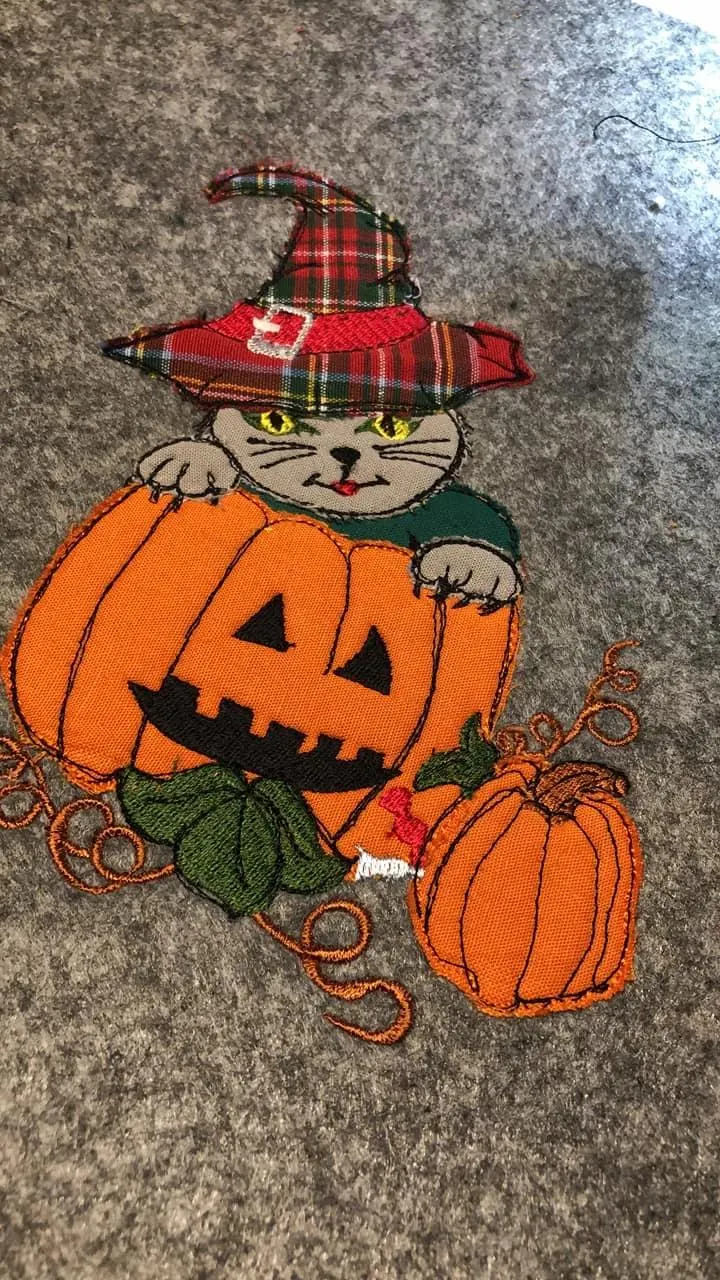 Stickdatei Appli Katze im Kürbis 