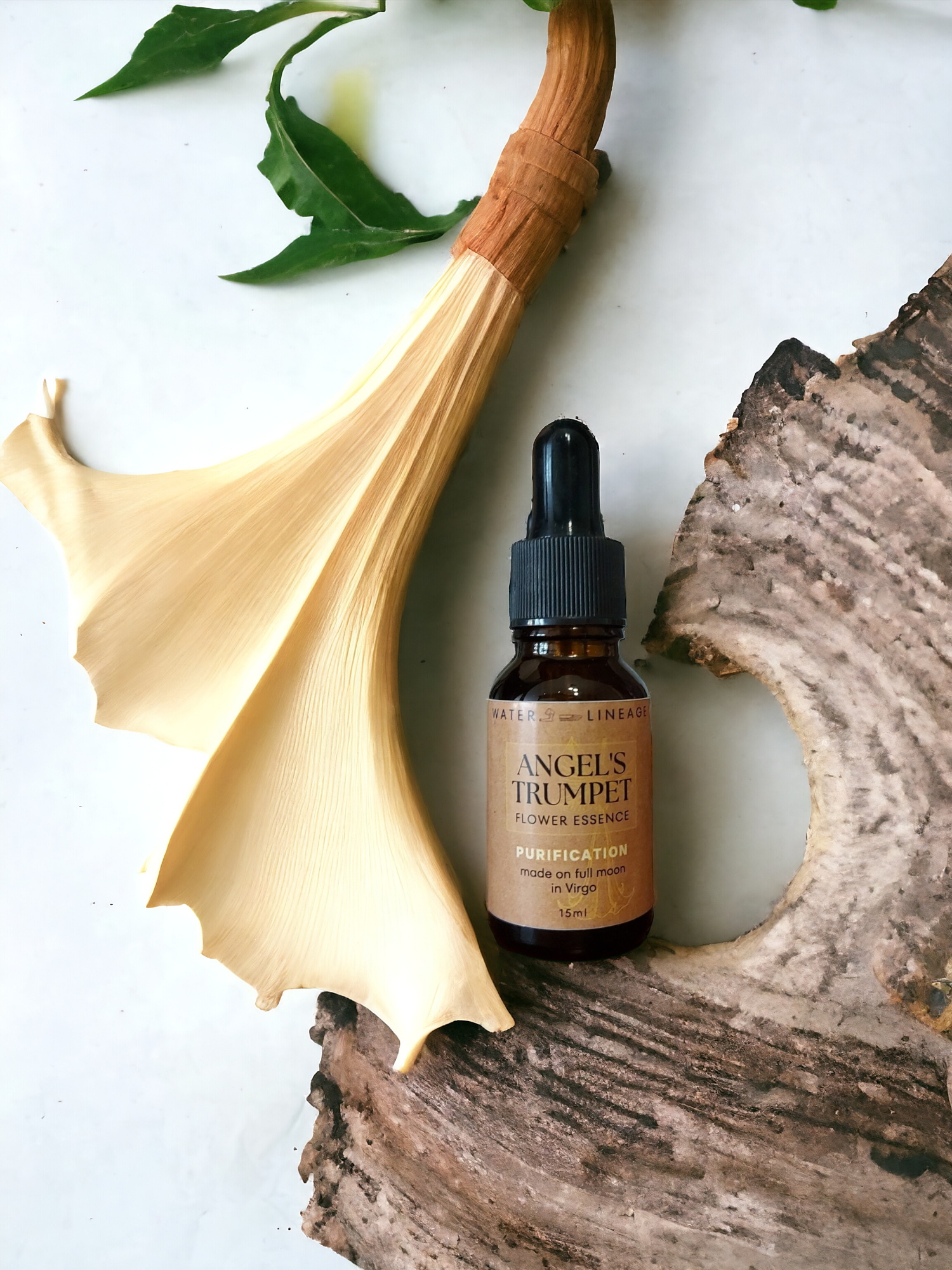 ANGEL'S TRUMPET Flower Essence