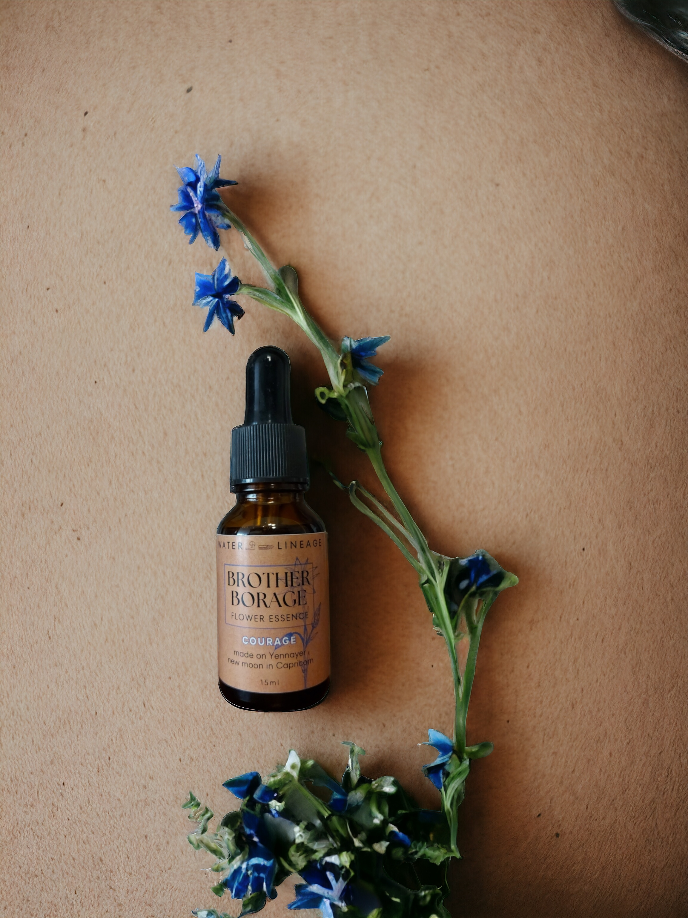 BROTHER BORAGE Flower Essence