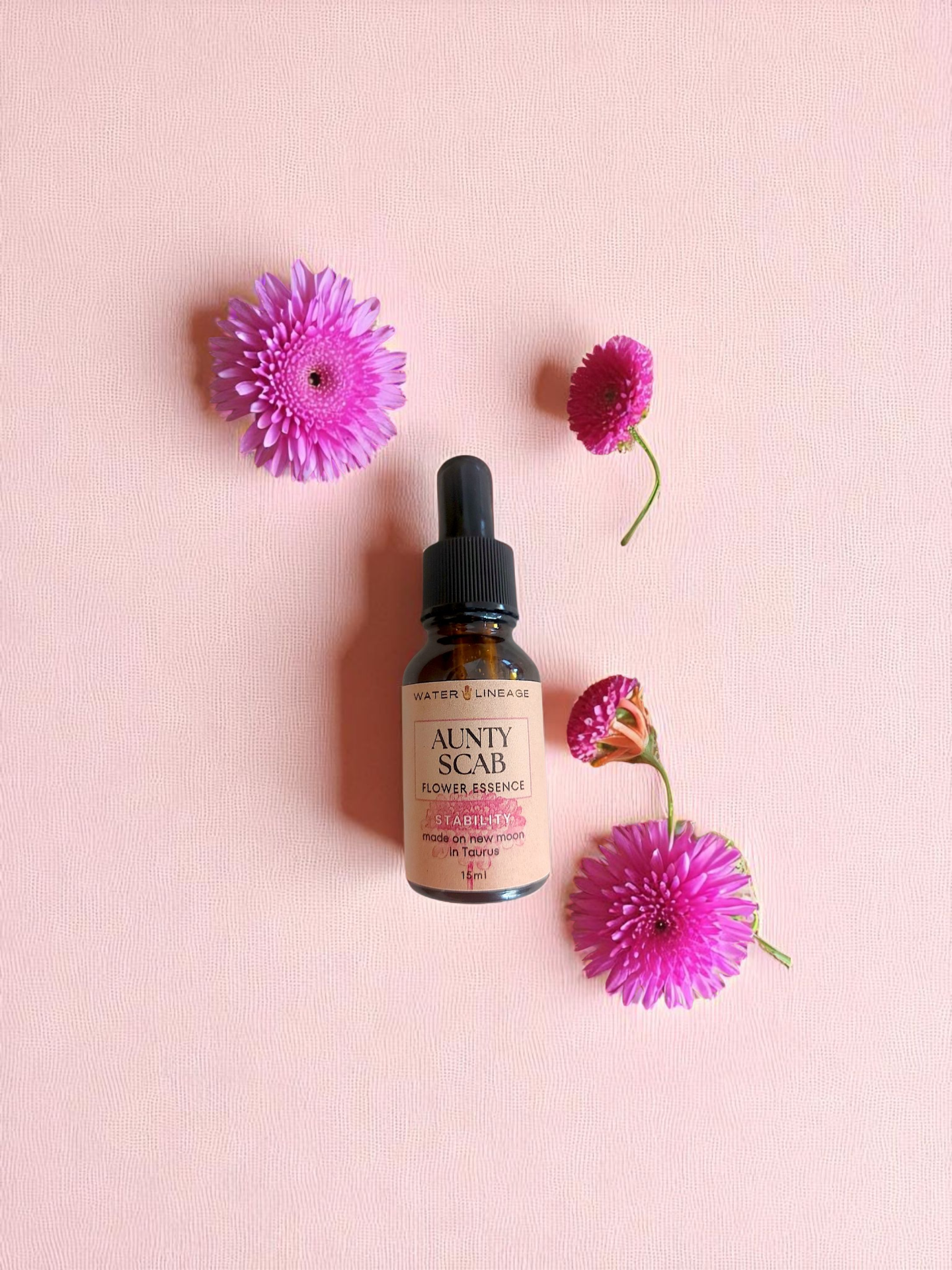 AUNTY SCAB Flower Essence