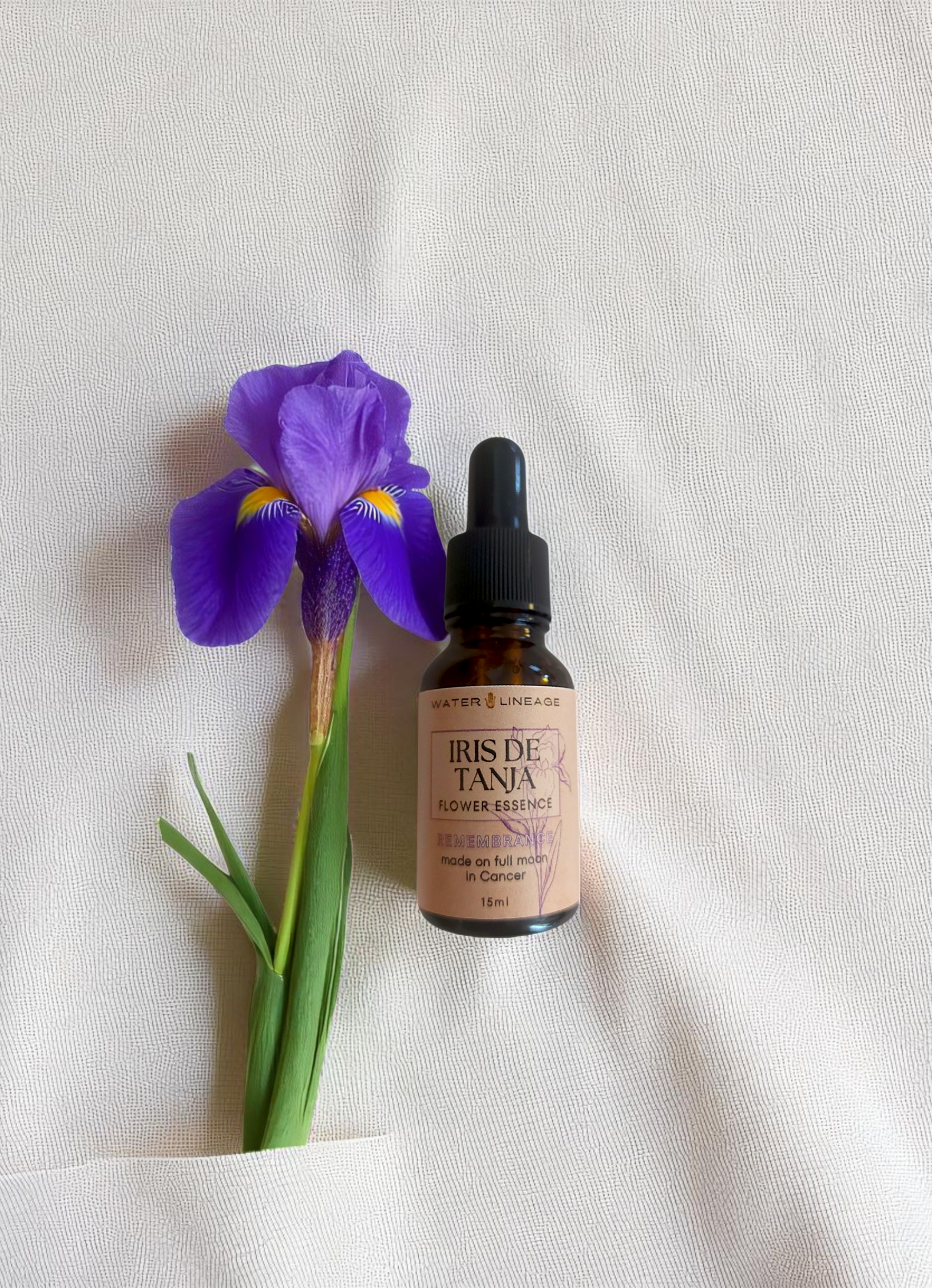 IRIS DE TANJA Flower Essence