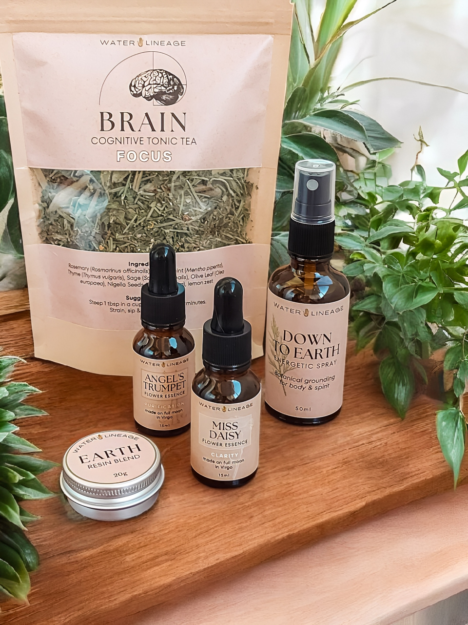 VIRGO SEASON Collection | Full Set with 🎁 1 Free Gift