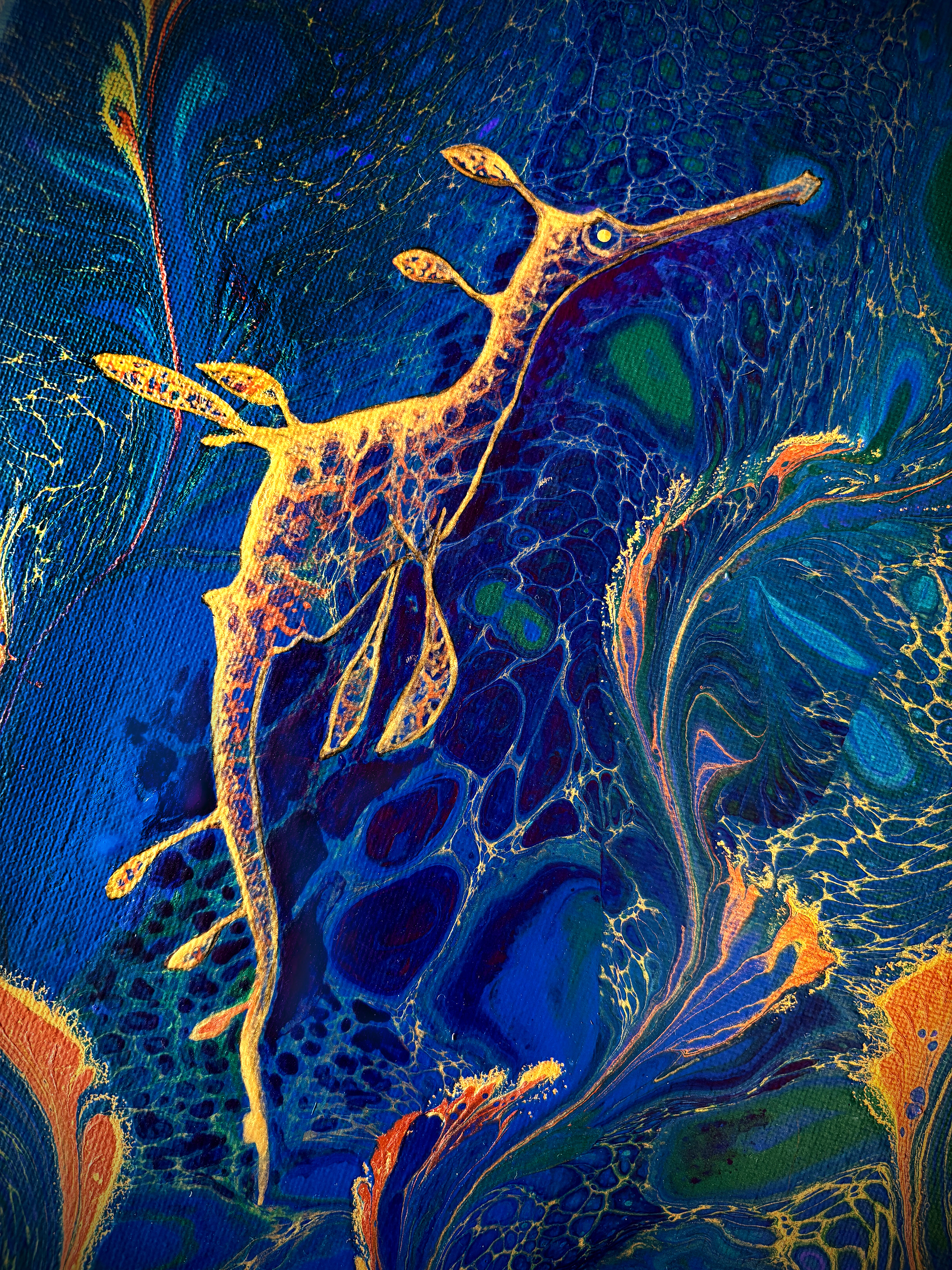 Leafy Sea Dragon