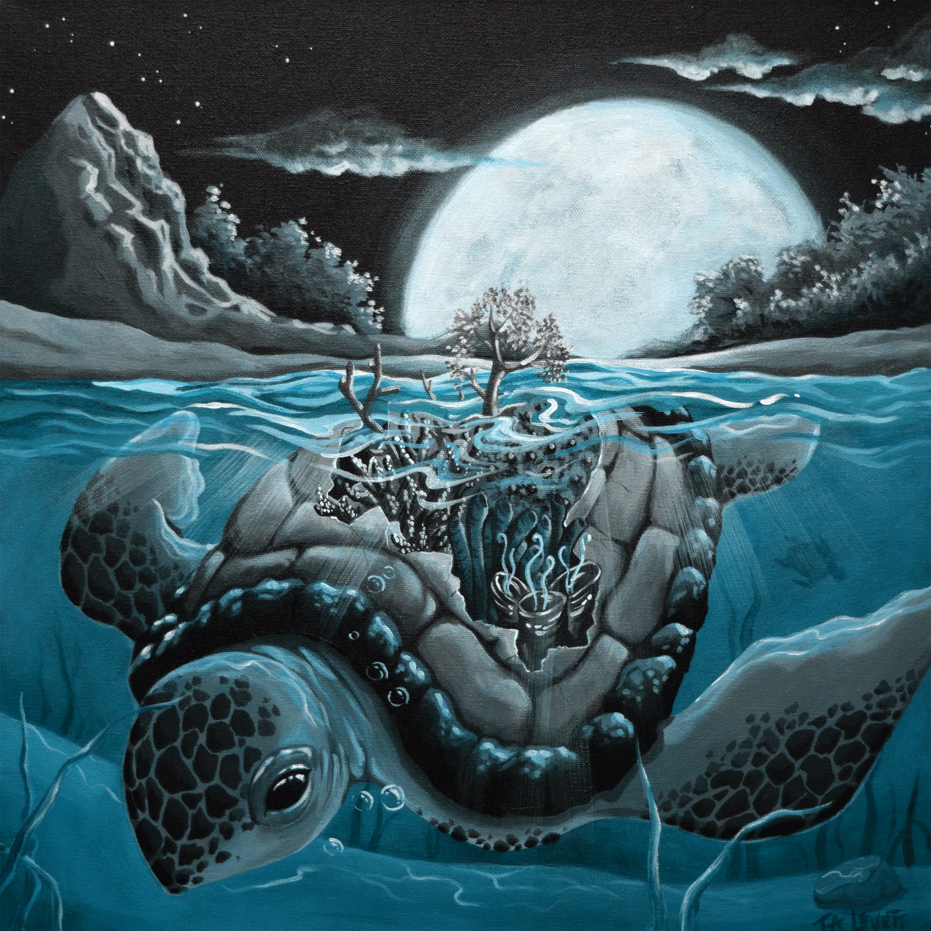 Reef Turtle - Limited Art Print