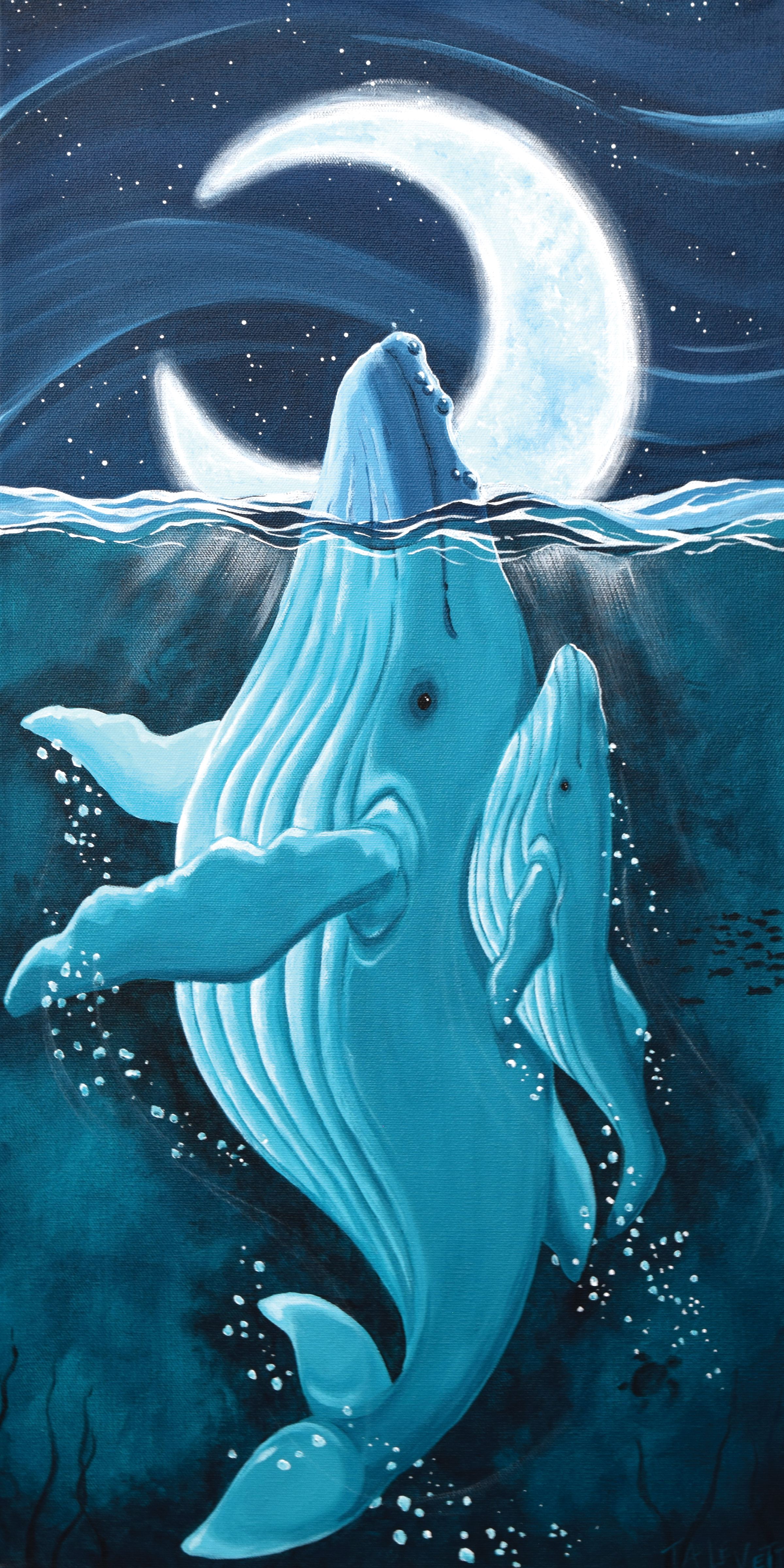 Spy Hopping - Art Print - Unframed