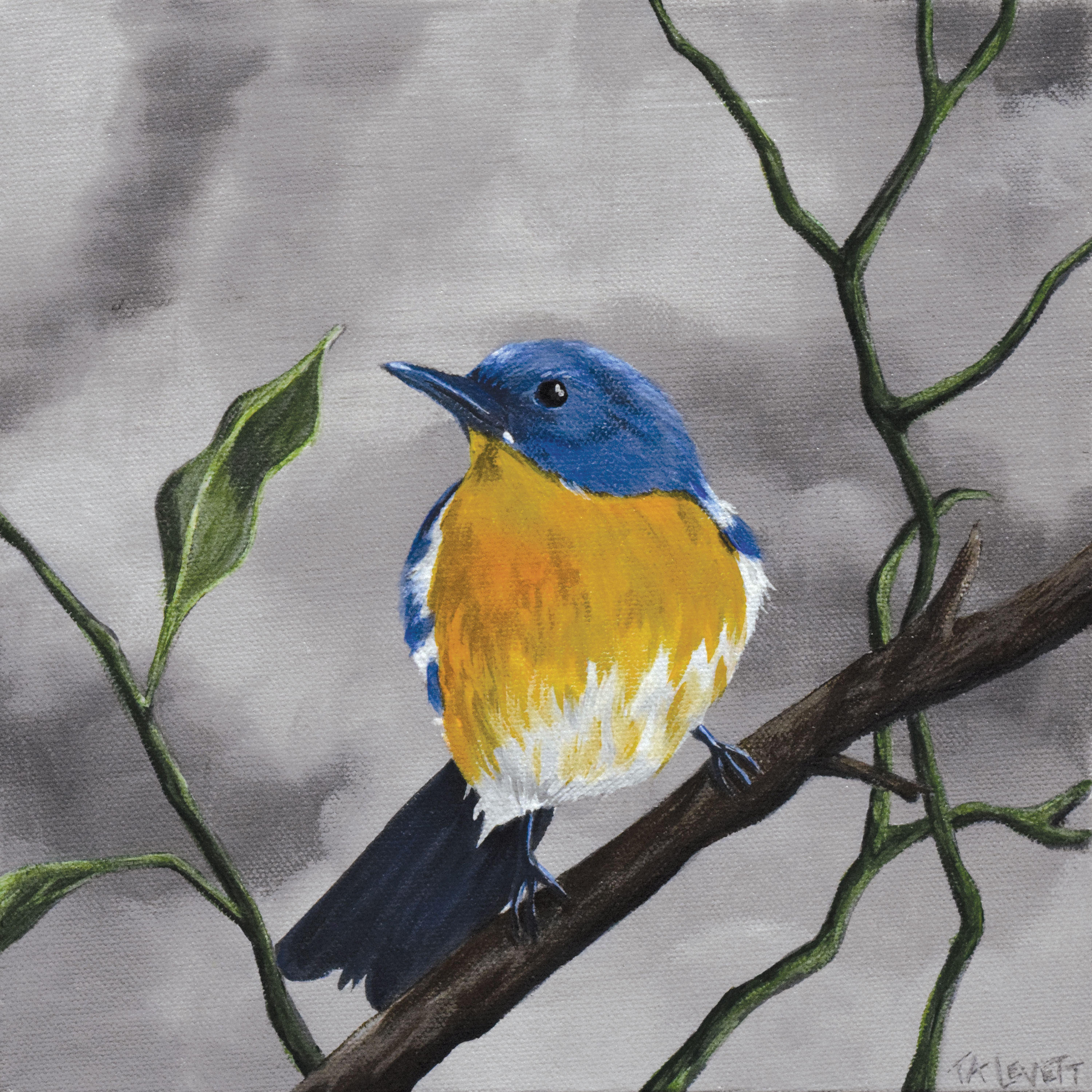 Bee Eater - Art Print - Unframed