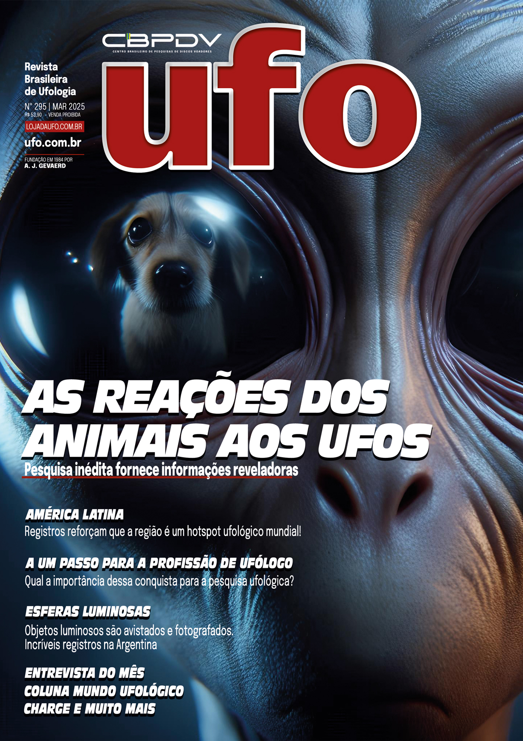 Revista UFO 295