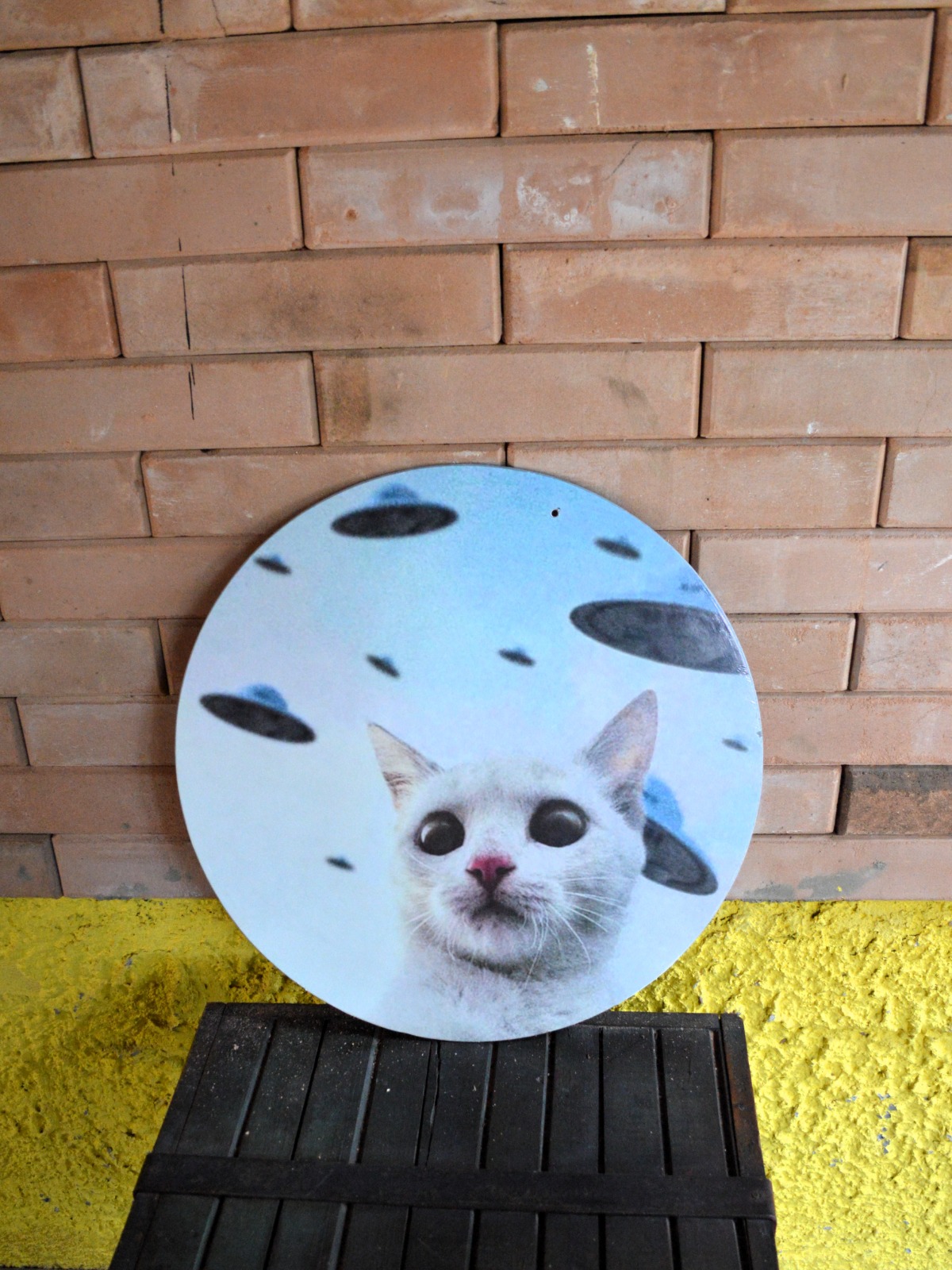 Quadro decorativo de gato