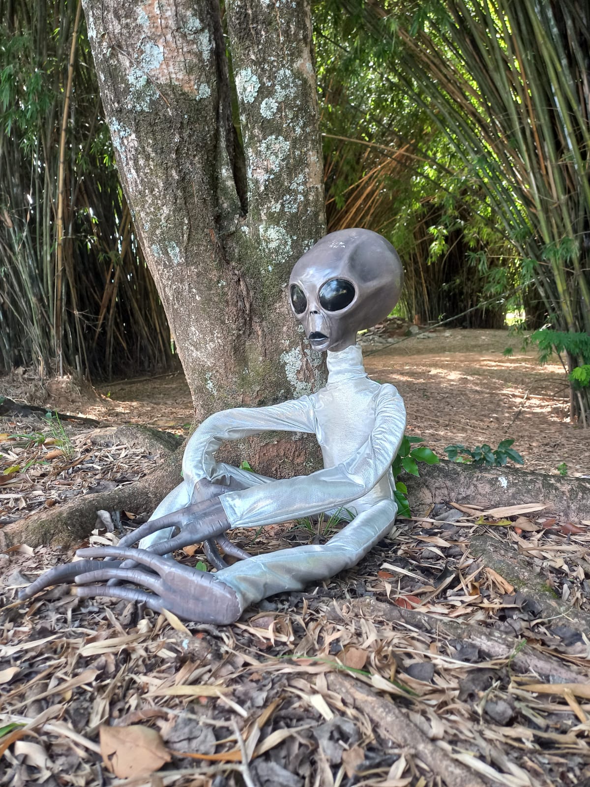 Estátua de Alienígena