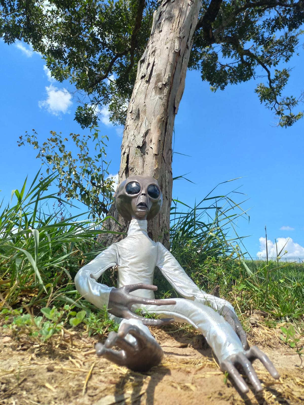 Estátua de Alienígena