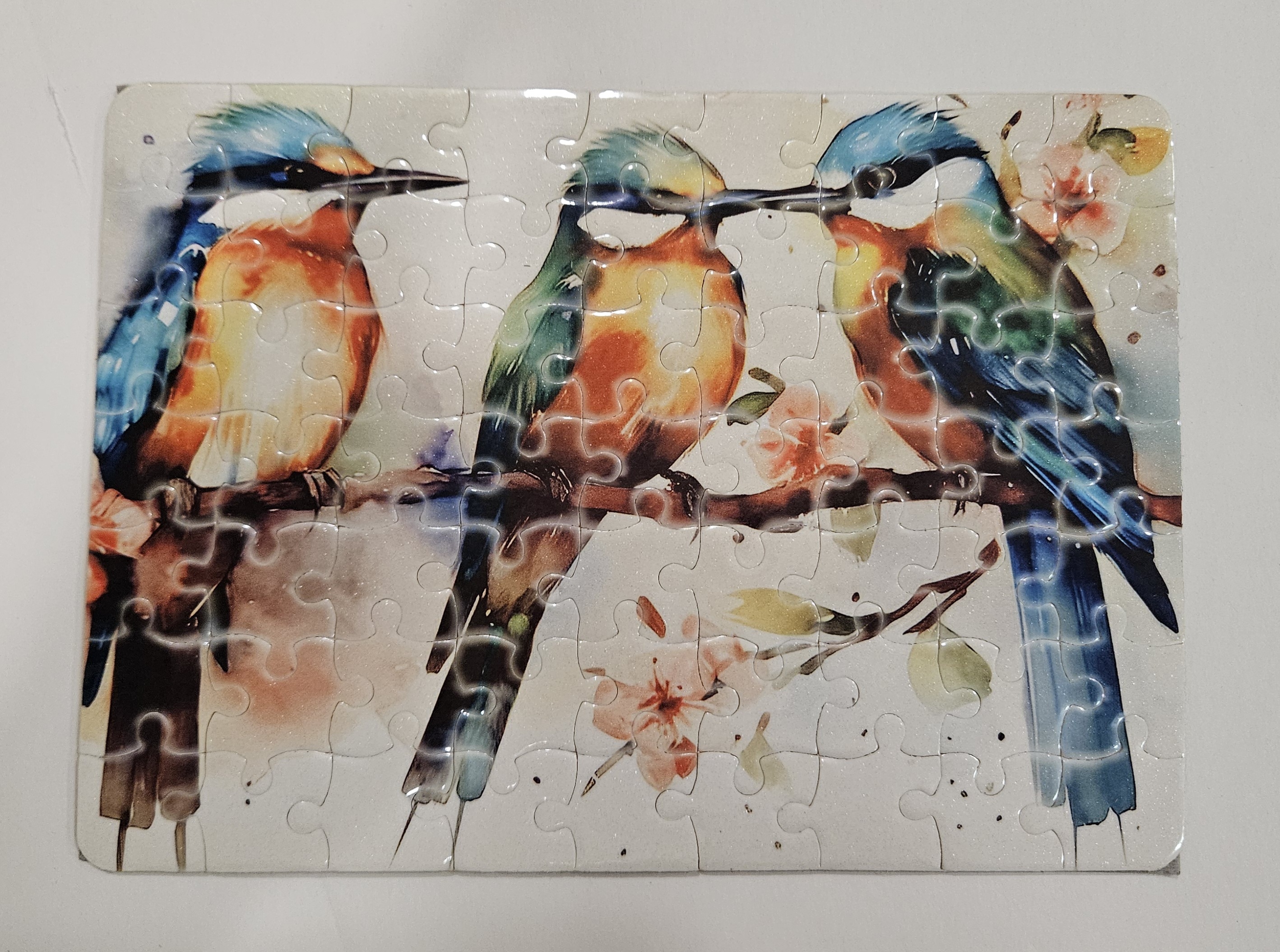 Colorful Bird Puzzle