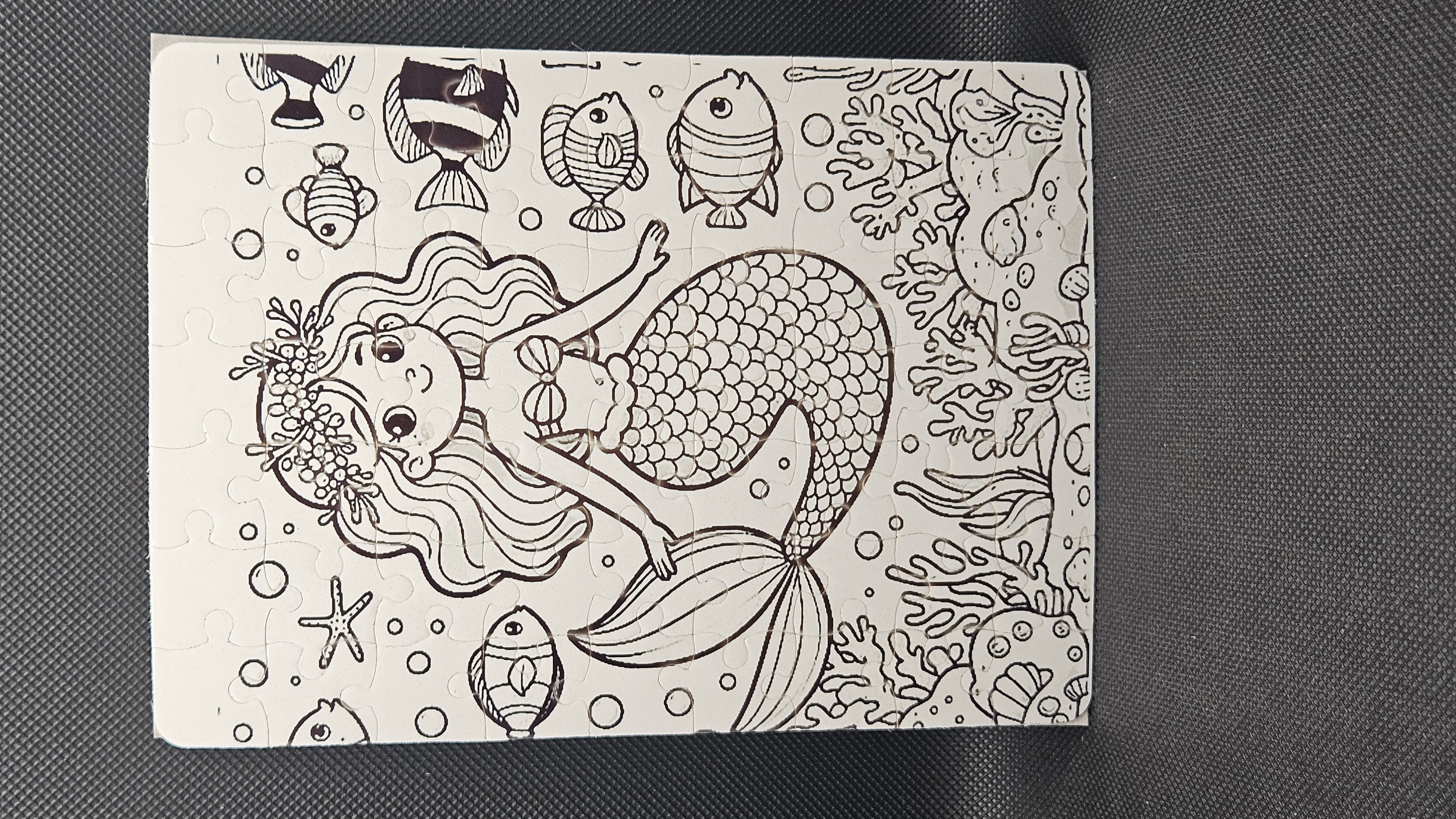 Mermaid Puzzle