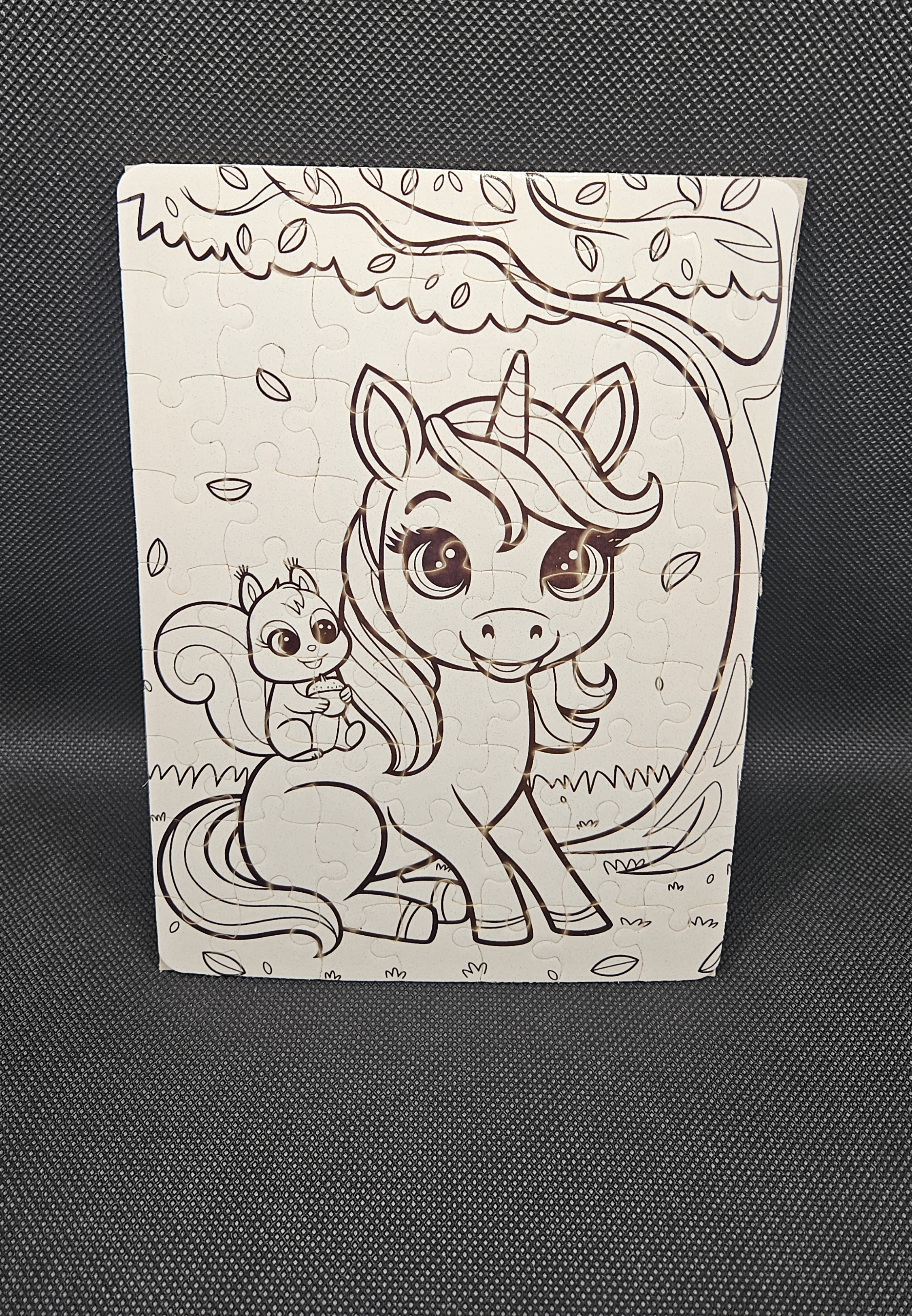 Unicorn and Squirrel Coloring Puzzle