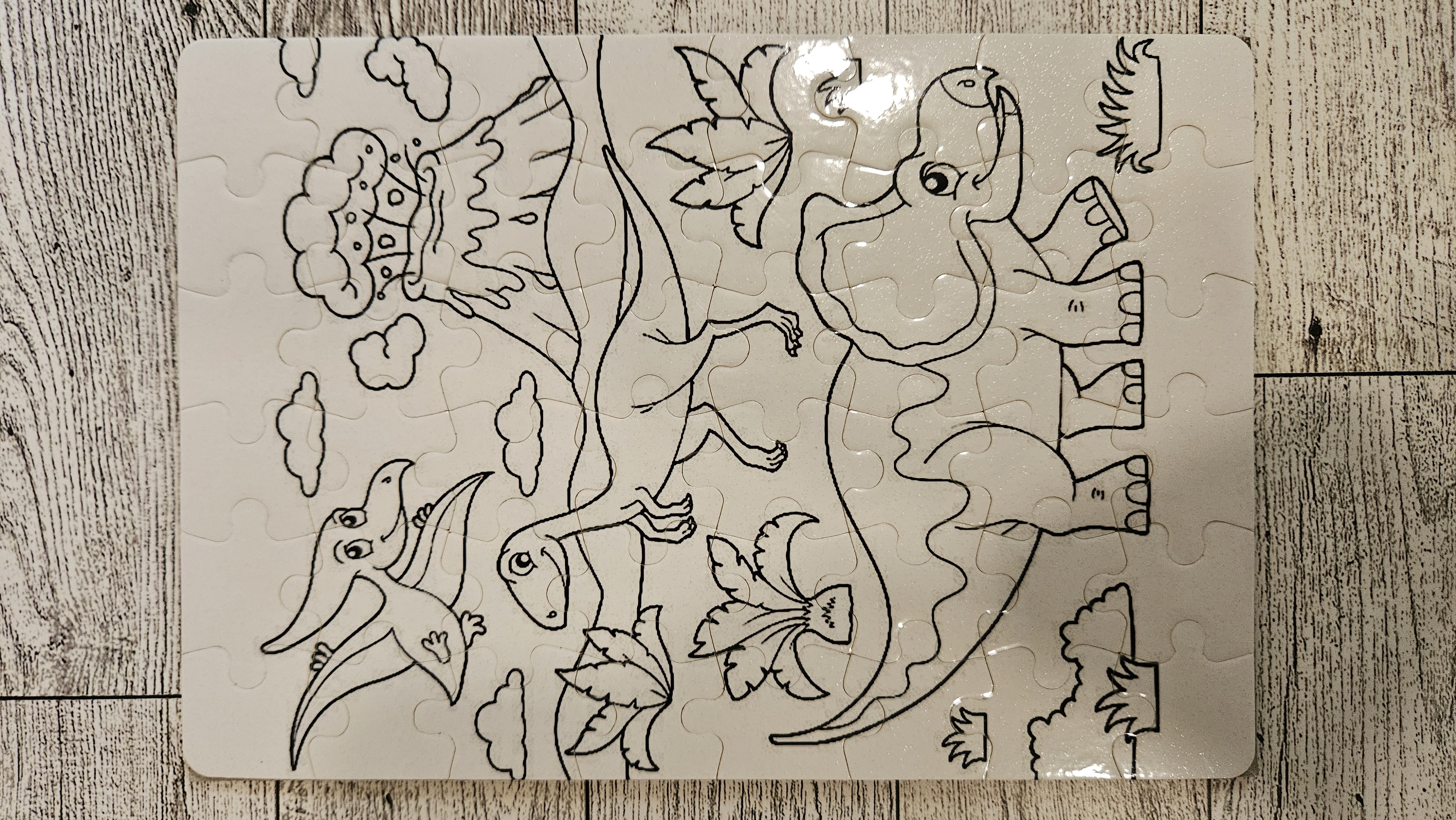 Dinosaur  coloring Puzzle