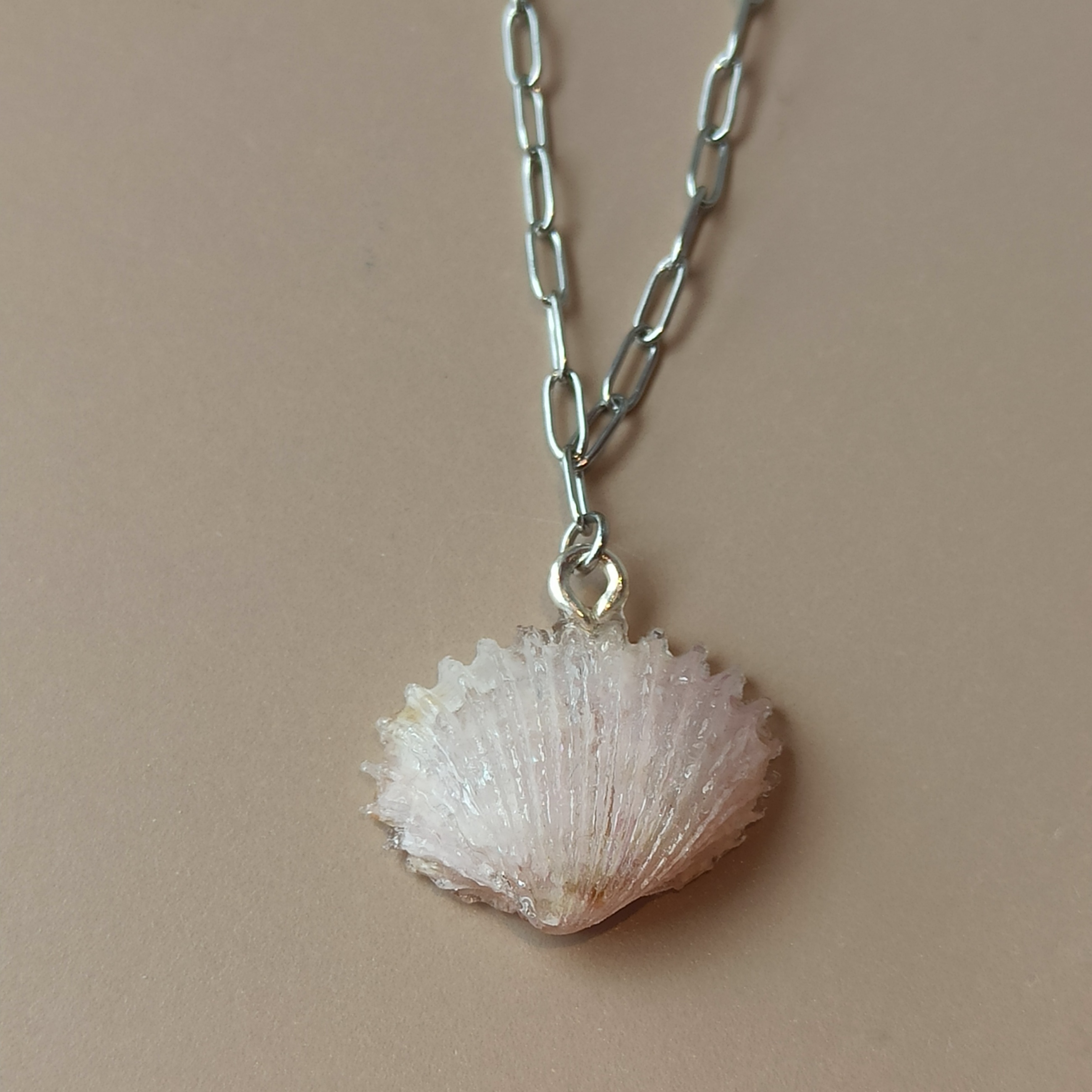 Colgante Cuncha 🐚