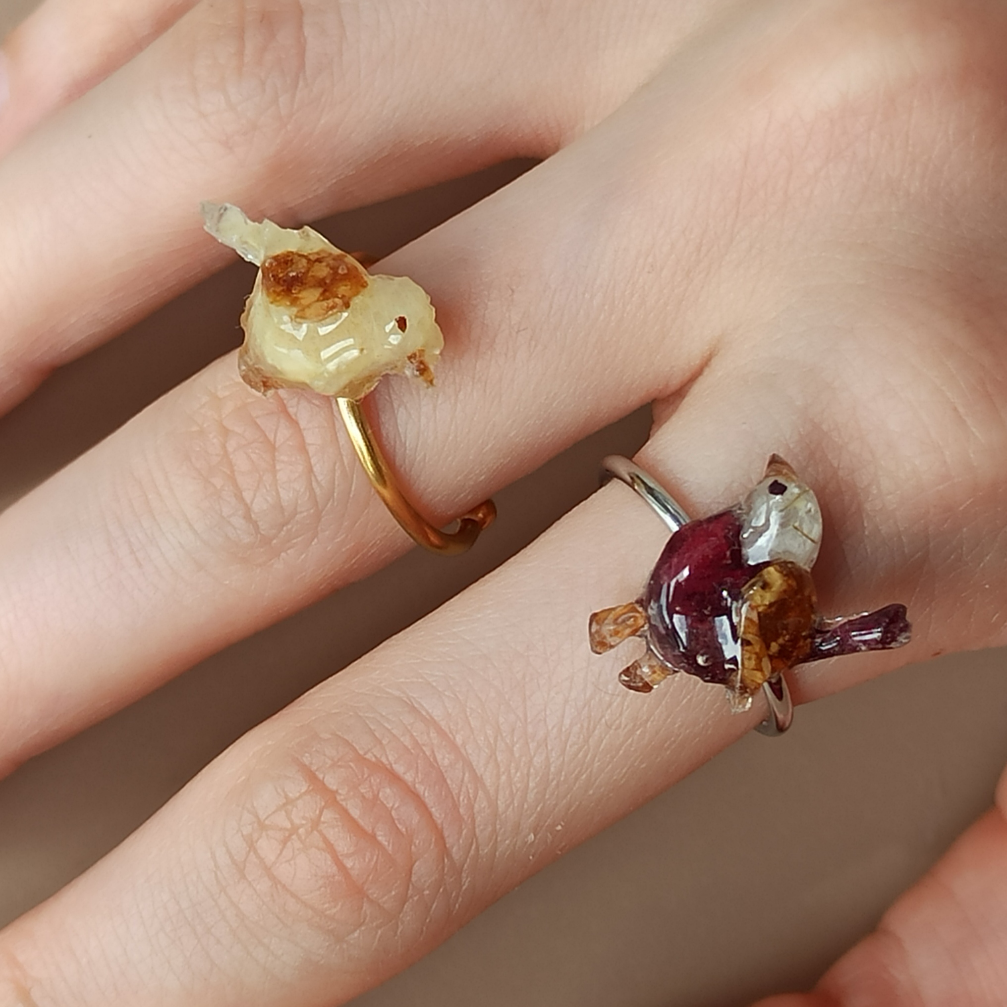 Anillos Paxariño 🐦