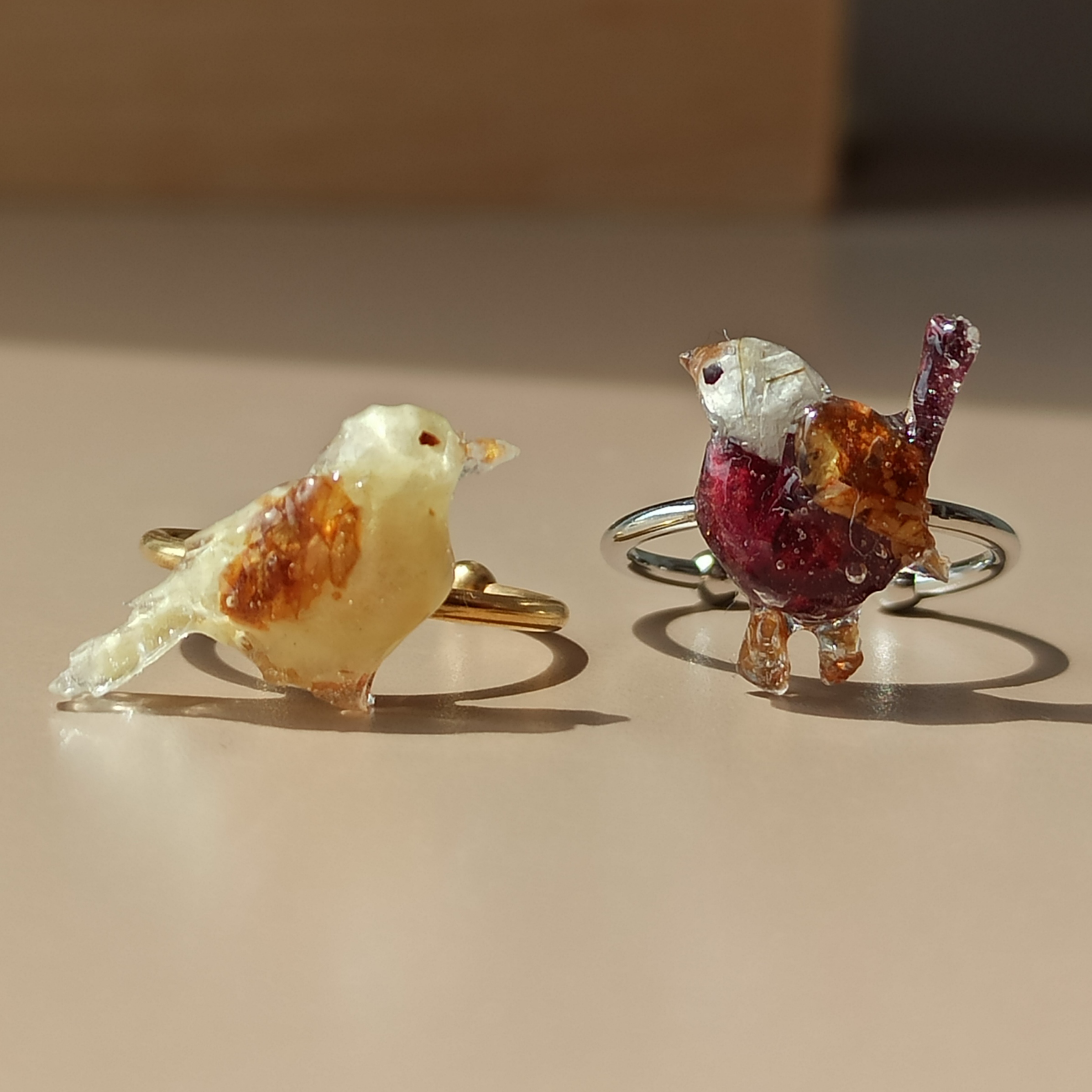 Anillos Paxariño 🐦