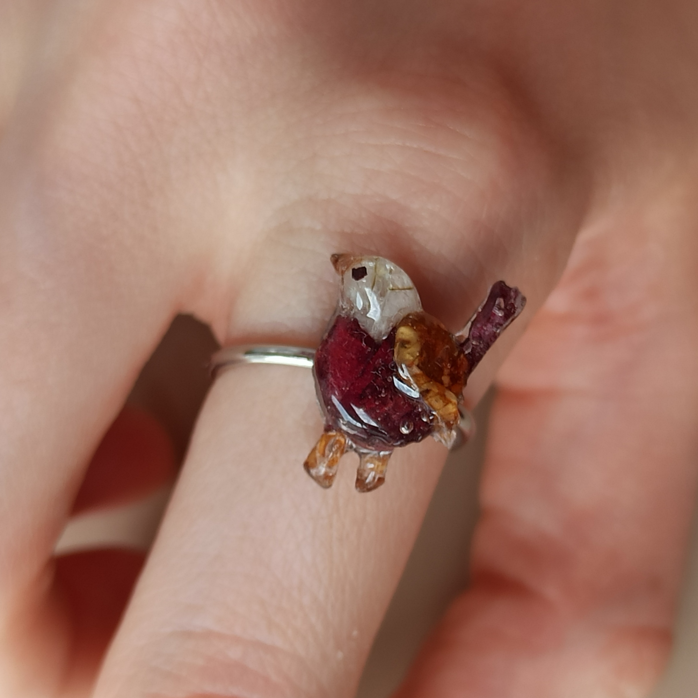 Anillos Paxariño 🐦