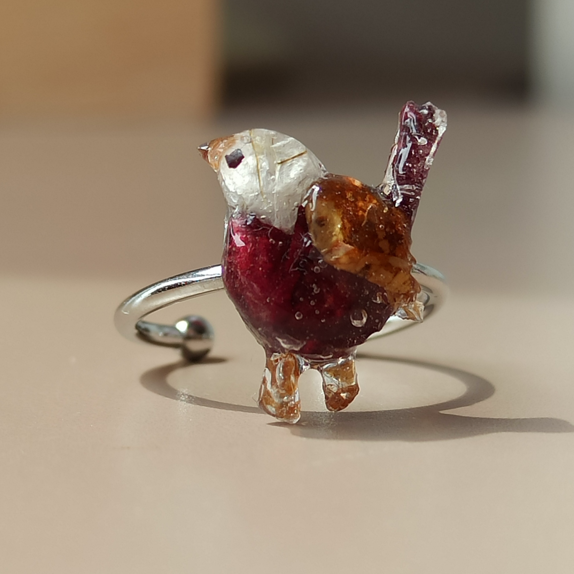 Anillos Paxariño 🐦