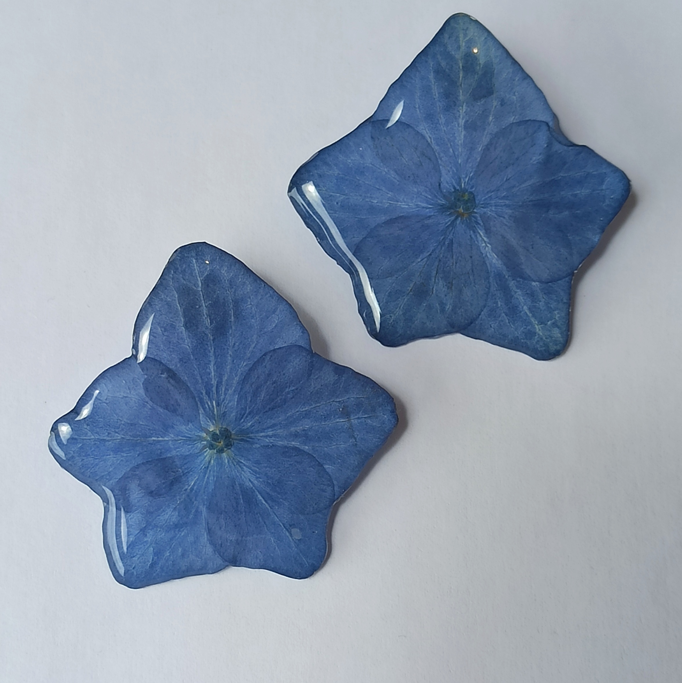 Pendientes Hortensia 💙