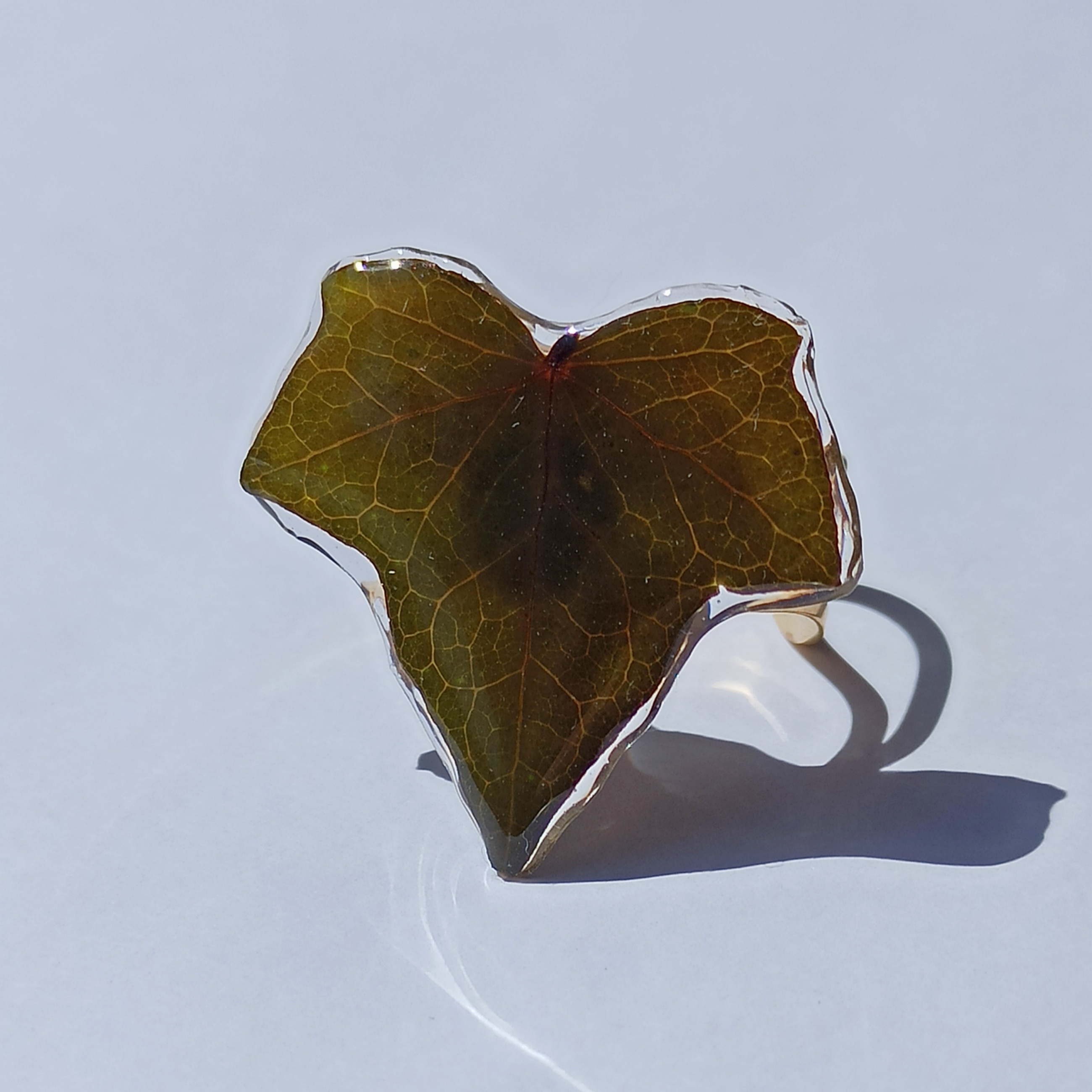 Anillo Hedra 🍃