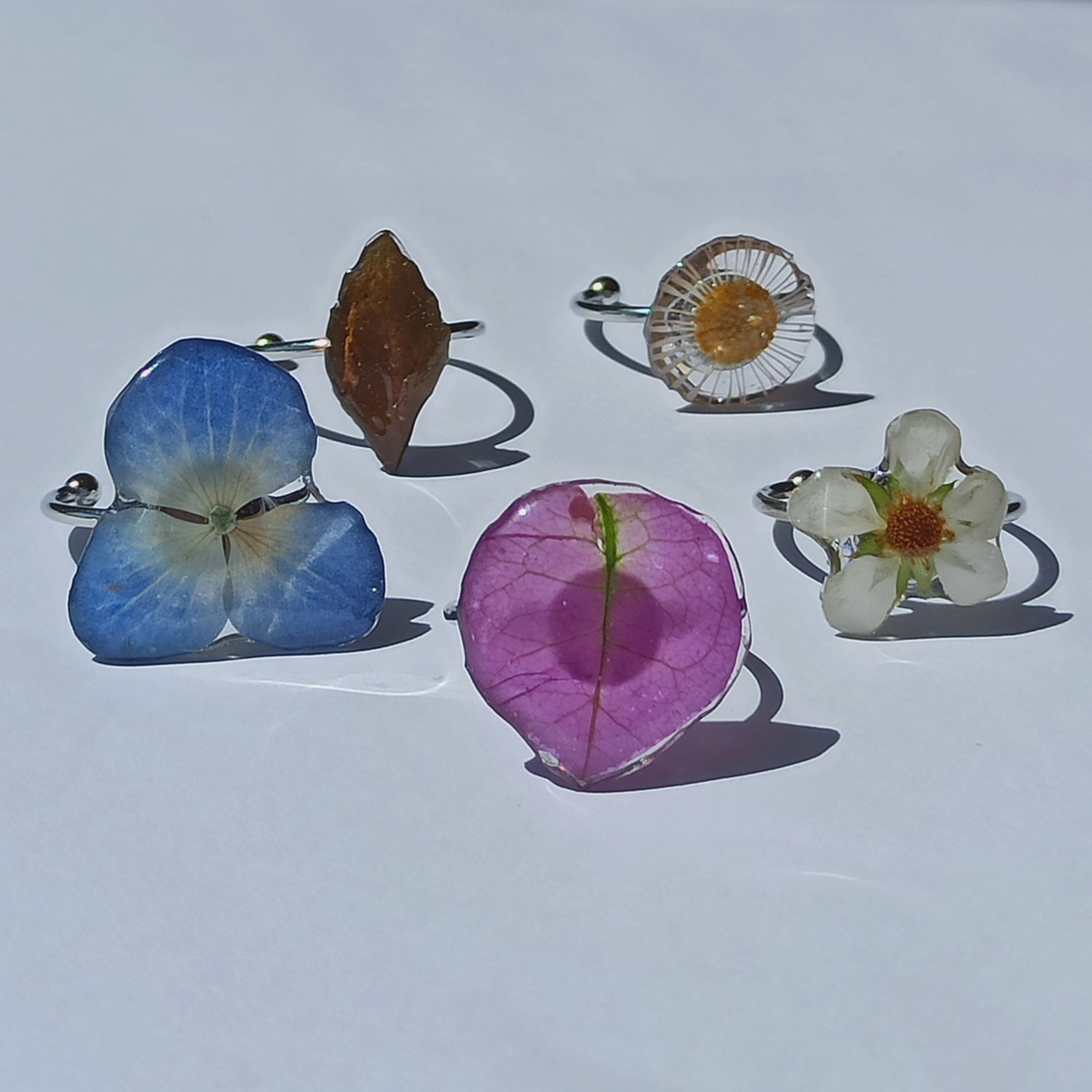 Anillos plateados Natureza 💧🌳