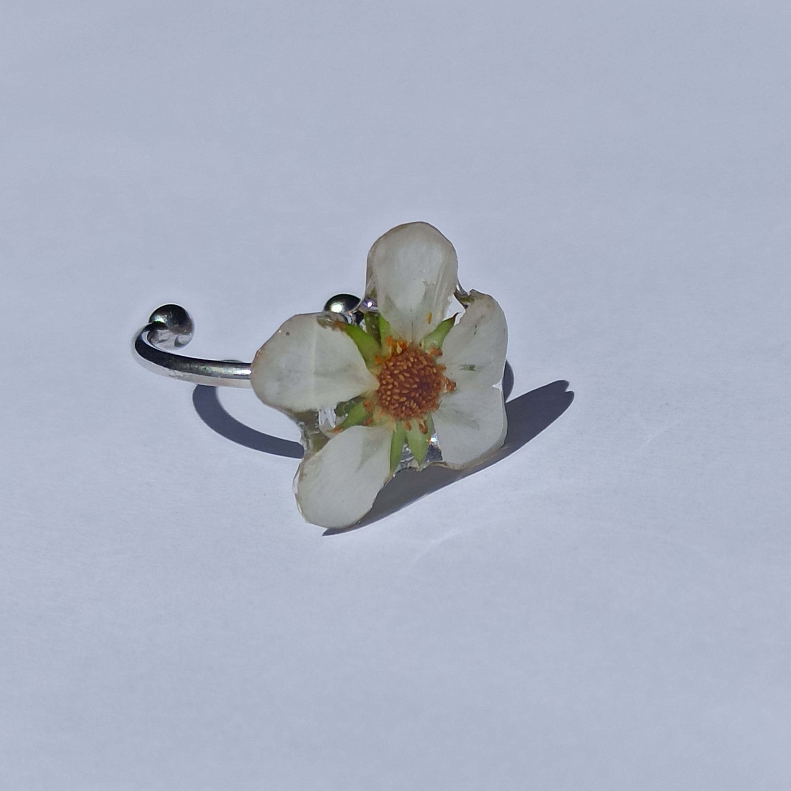 Anillos plateados Natureza 💧🌳
