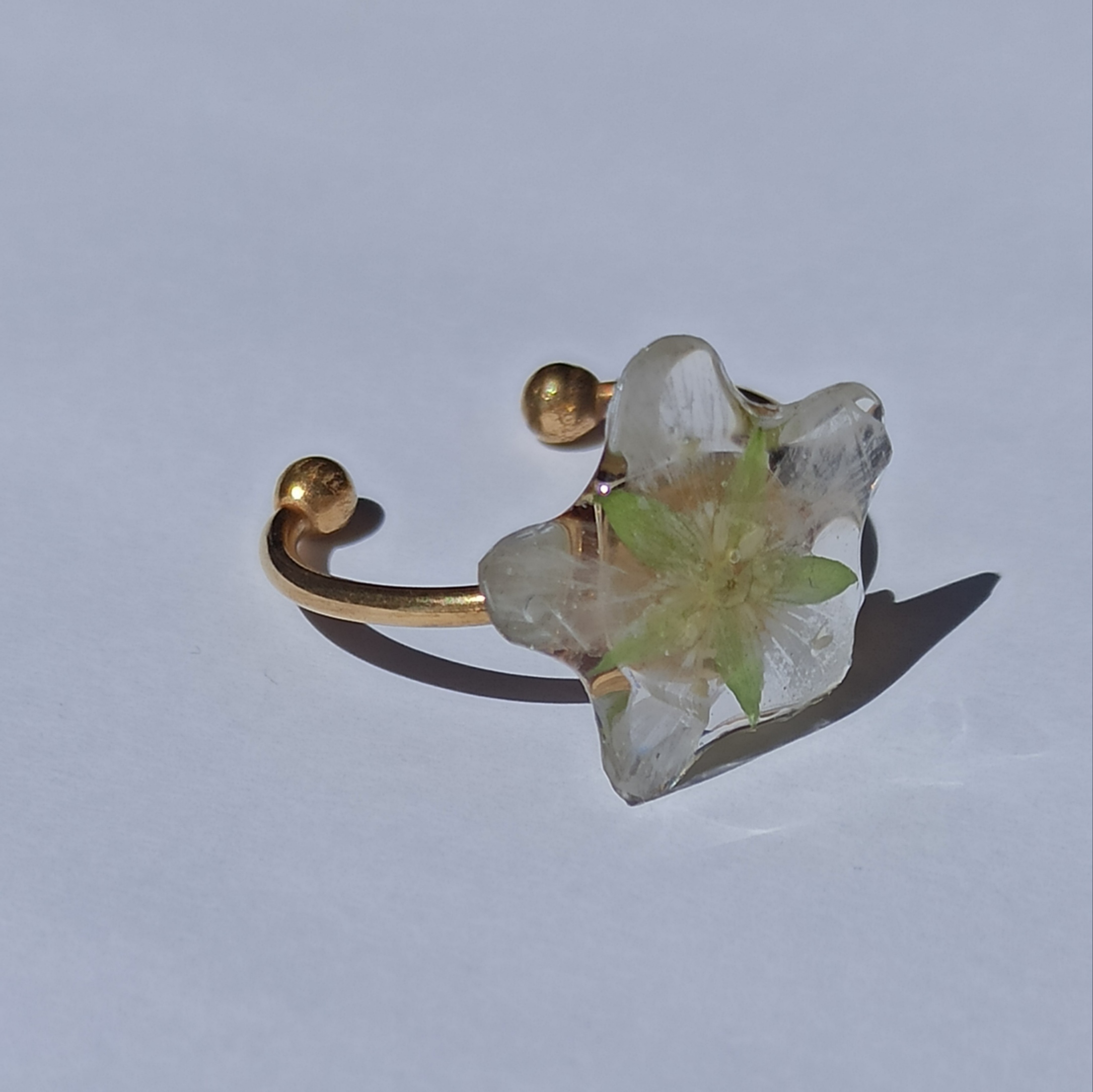 Anillos dorados Natureza 🏞️
