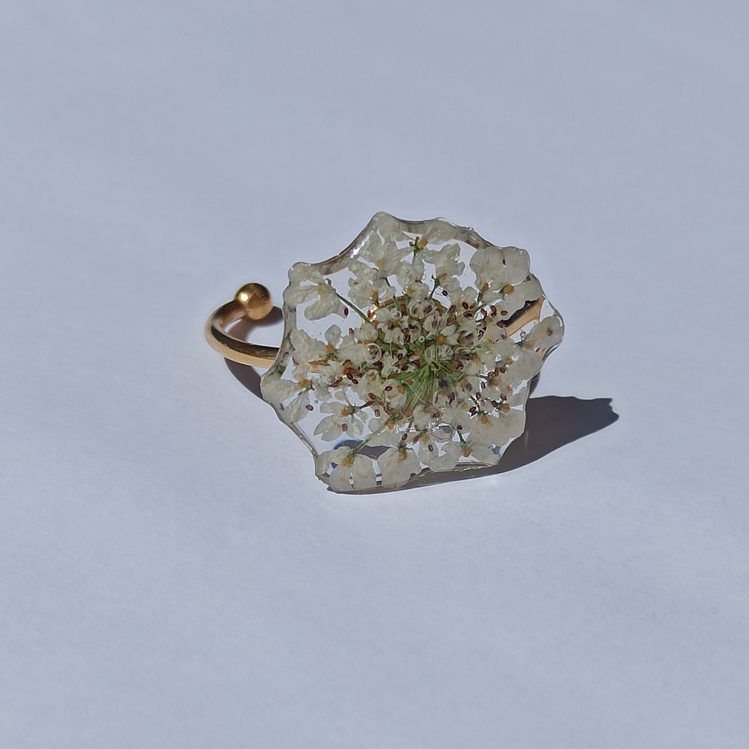Anillos dorados Natureza 🏞️